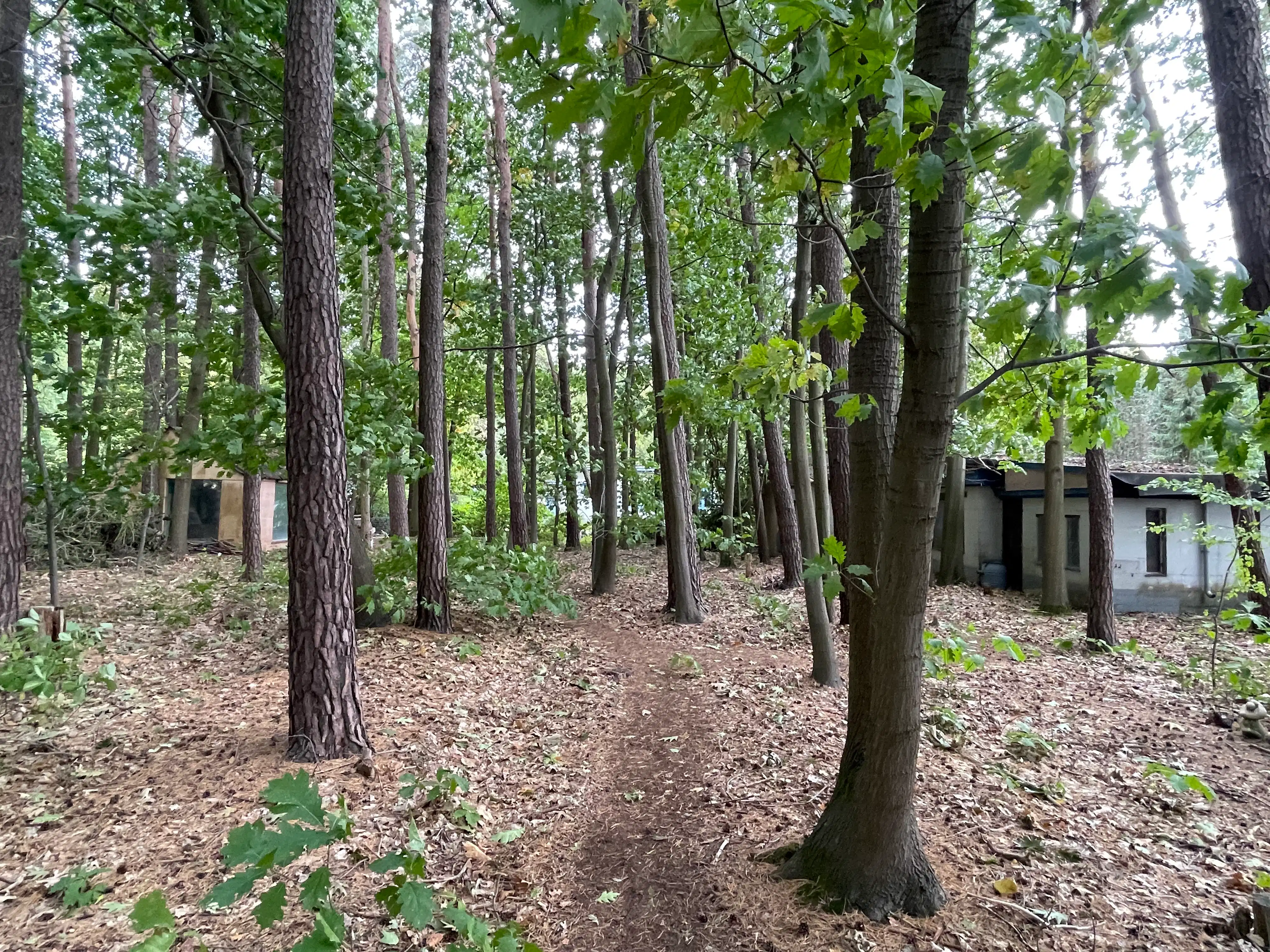 Idyllische plek 3530m² foto 27