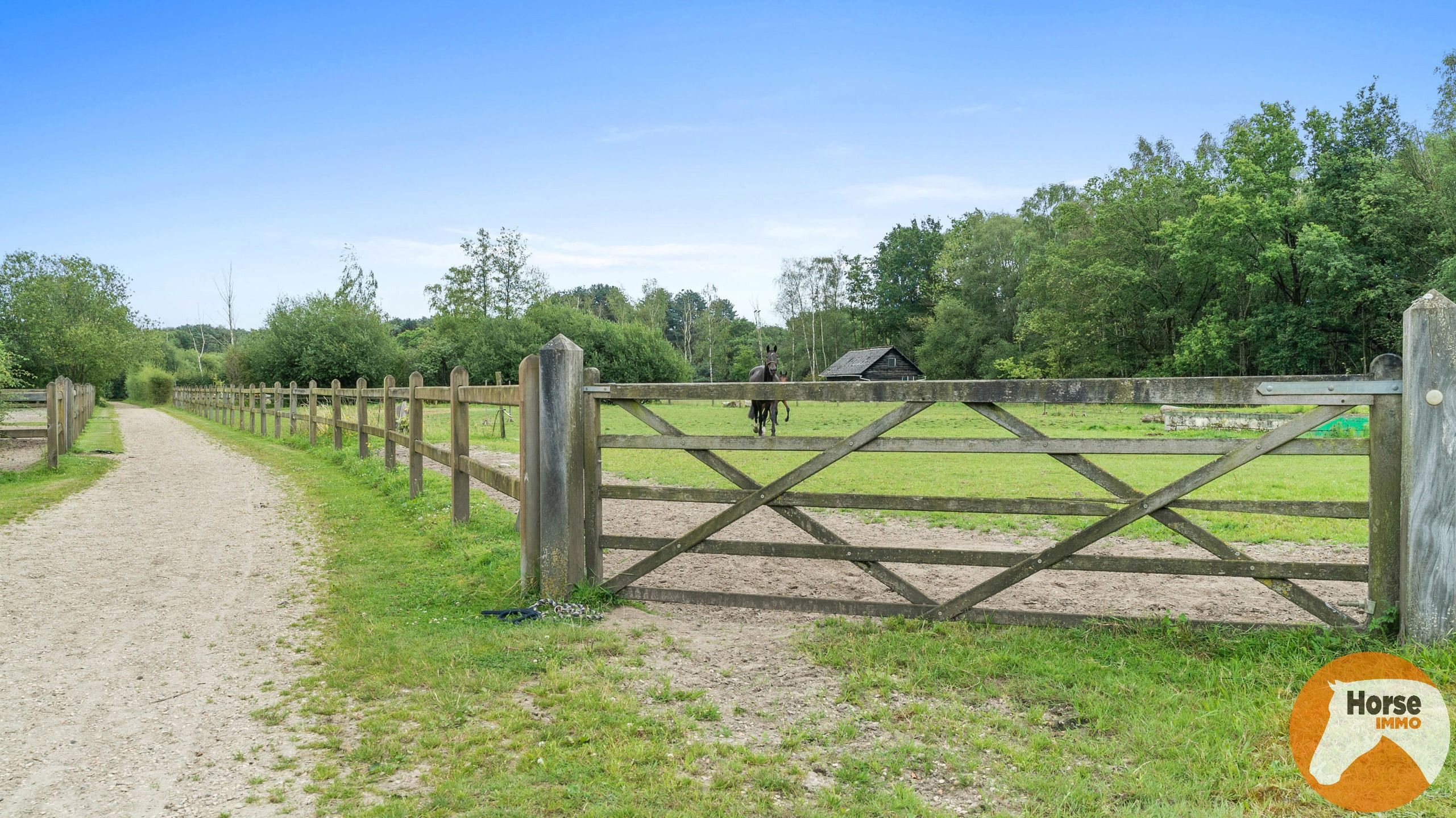 BONHEIDEN- Unieke paardenaccommodatie, landelijke woning 8HA foto 43