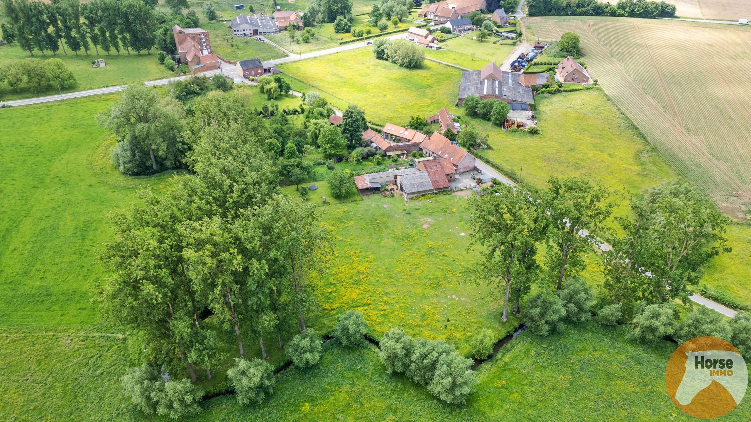 HERNE - Gerenoveerde woning met hangar op +-1ha foto 20