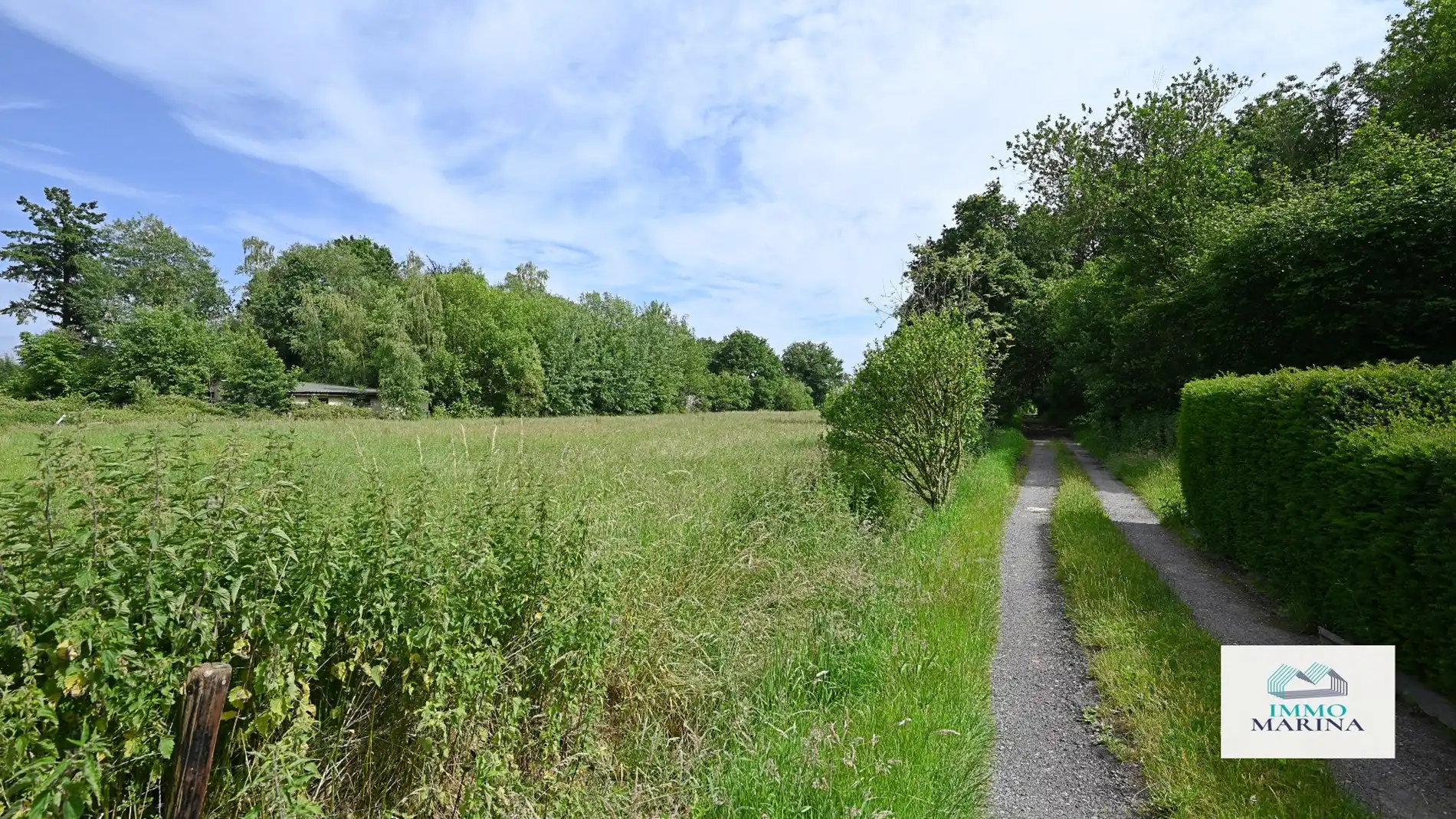 Landbouwgrond / paardenweide te koop te Baal foto 13
