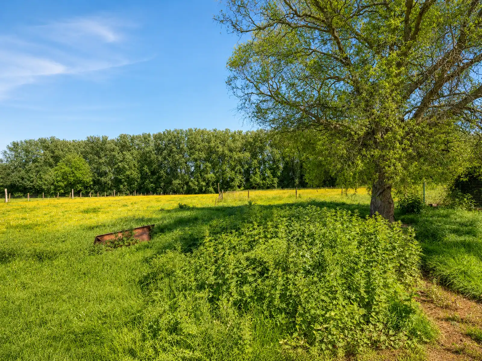 Prachtig gelegen open bebouwing met achterliggende weide foto 22