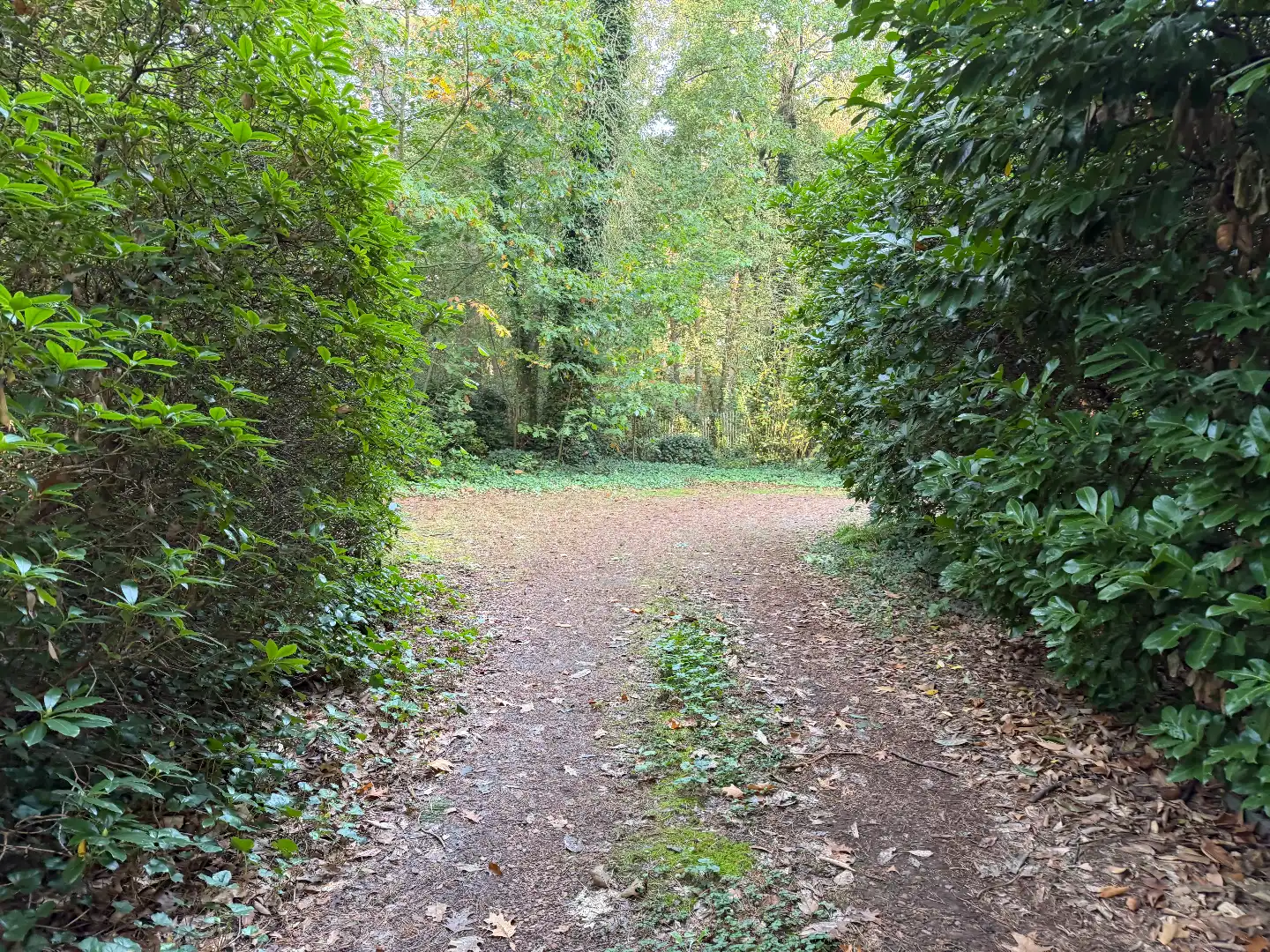 Rustig wonen midden in de bossen op een perceel van 2.005 m² in Schilde foto 17