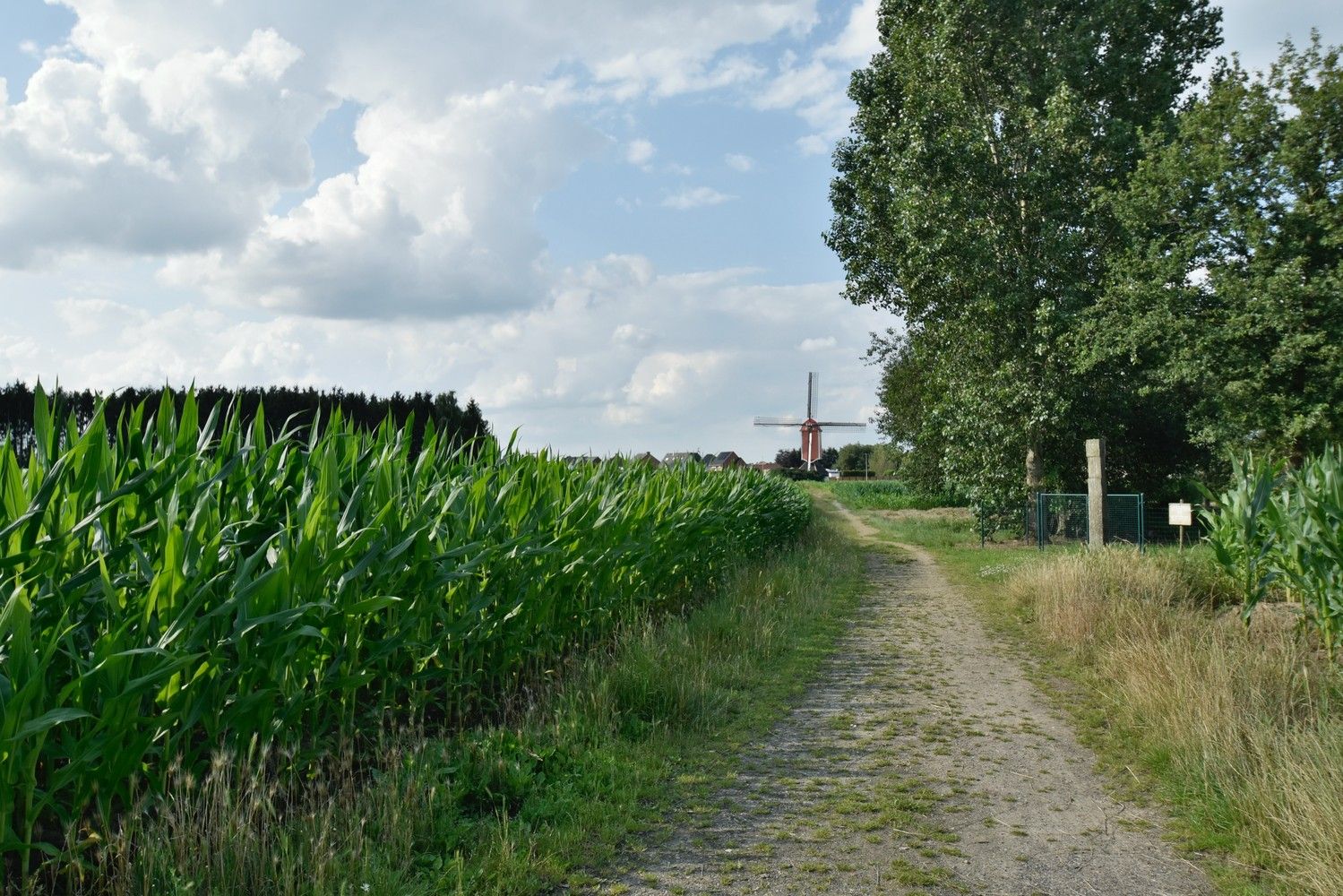 Schitterende bouwkavel op een residentiële locatie in het geliefde Leut foto 6