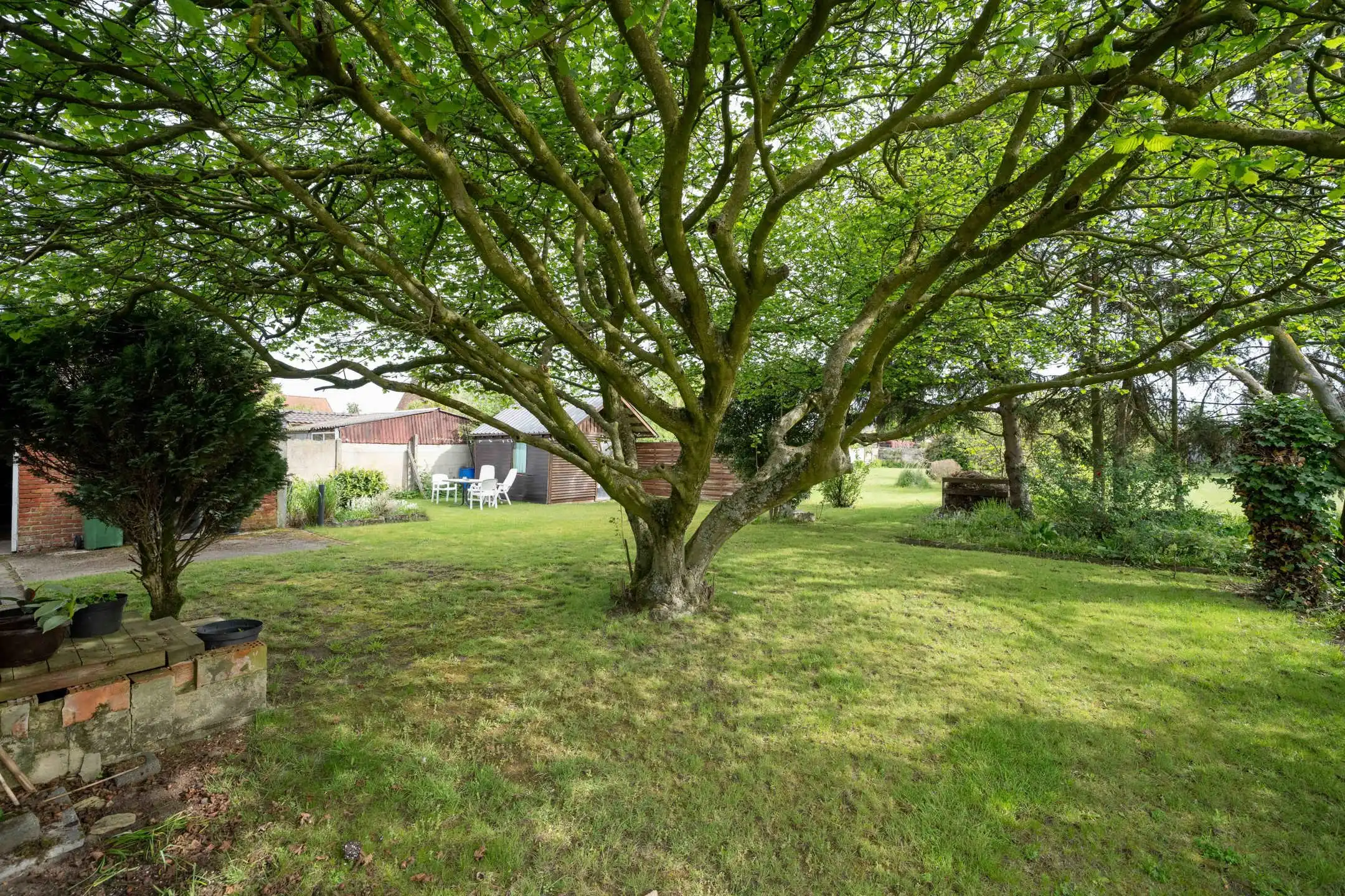 Te renoveren OB op 11 are 46 ca foto 19