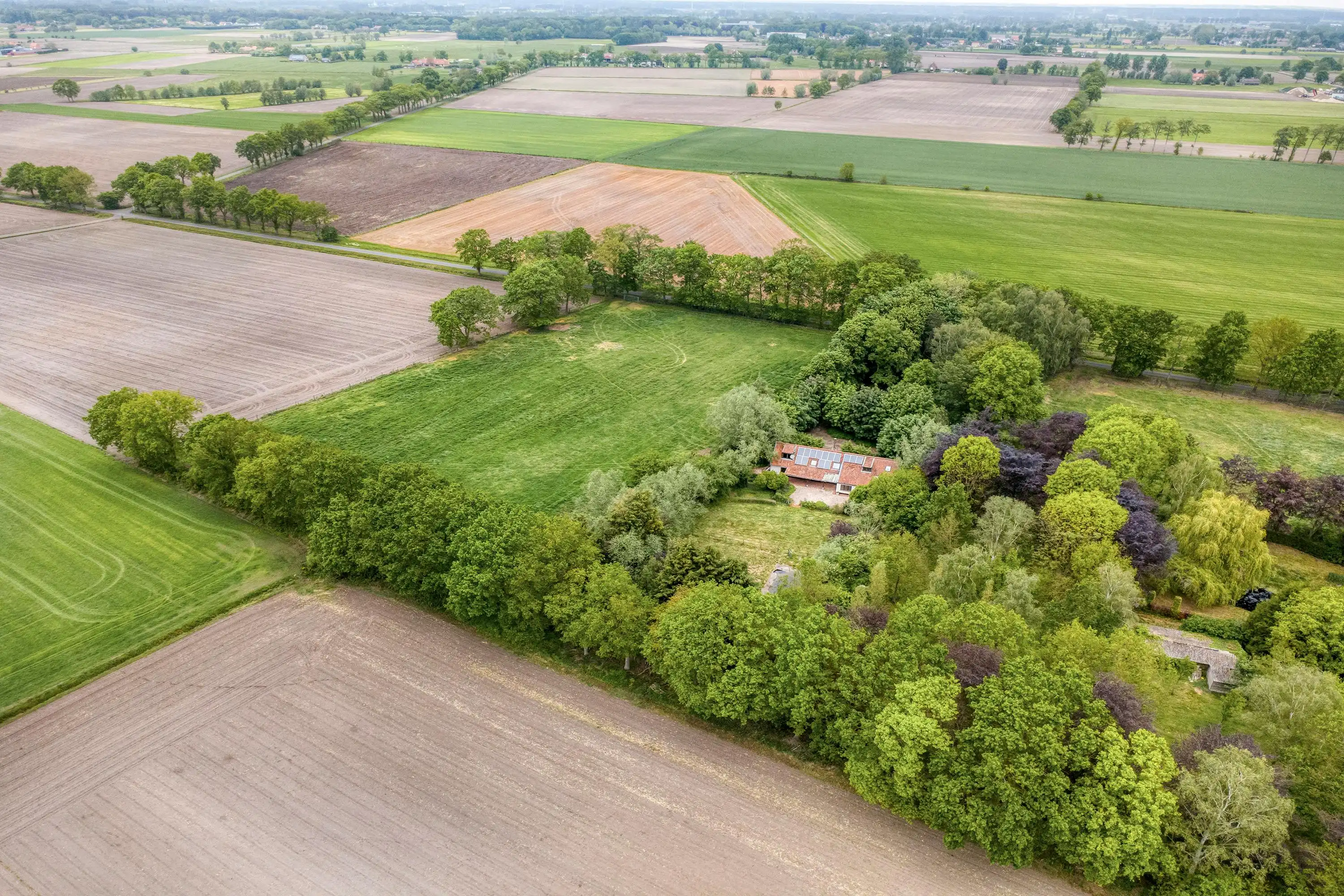 Uitzonderlijk gelegen huis (14.953m²) langs Haantjesveld te Maldegem foto 3