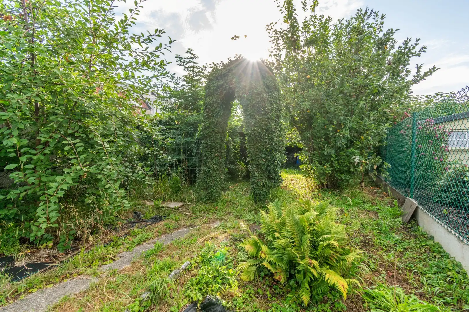 LICHTRIJKE WONING MET 3 SLAAPKAMERS, GARAGE & TUIN ! foto 6