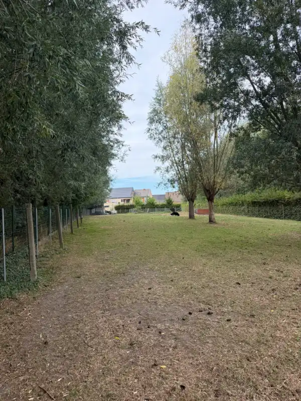 Instapklare gezinswoning op een perceel van 840 m² (mogelijk tot bijkopen van perceel van 1718m2) foto 27