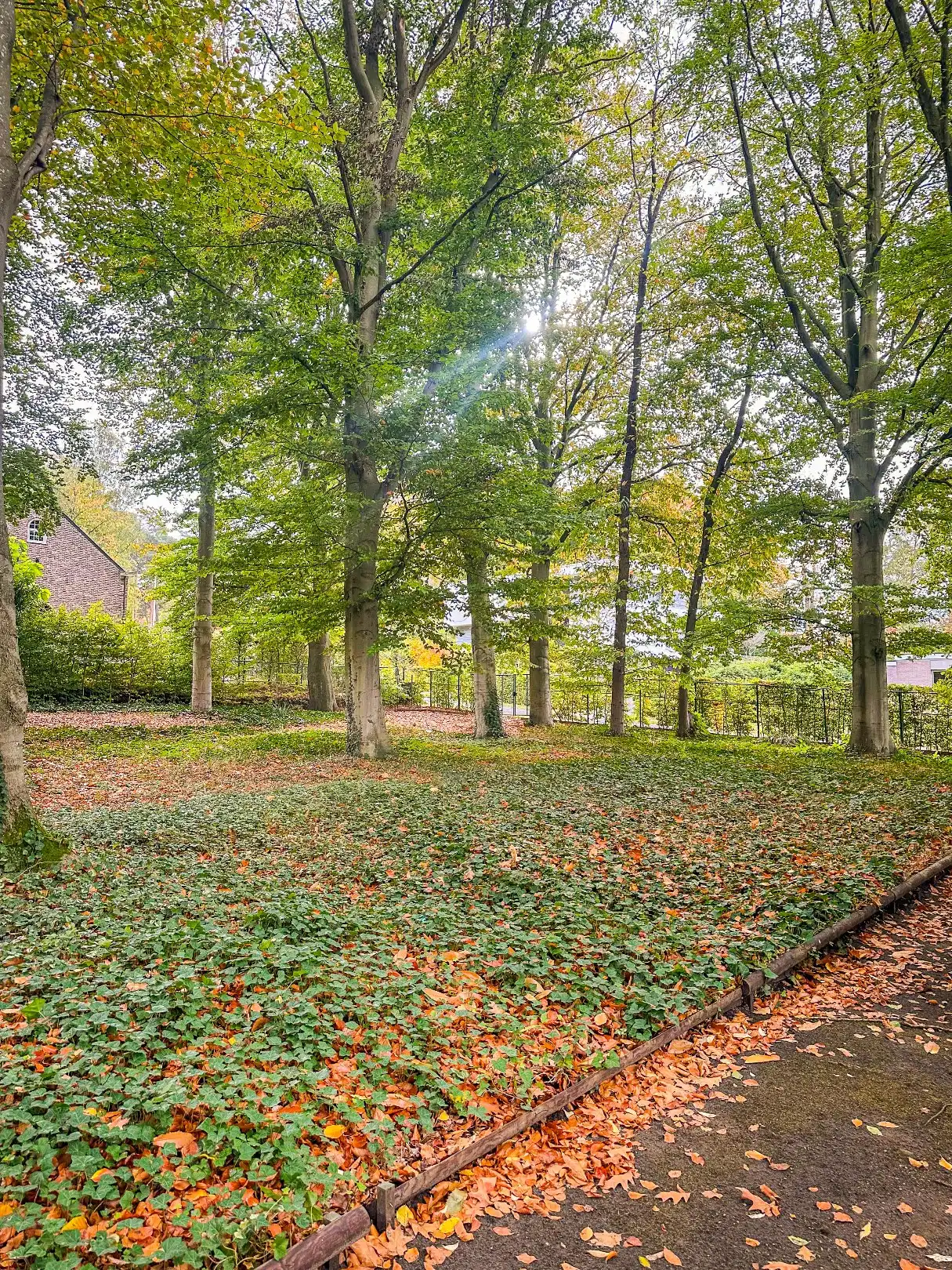 Prachtig perceel op unieke locatie! foto 6