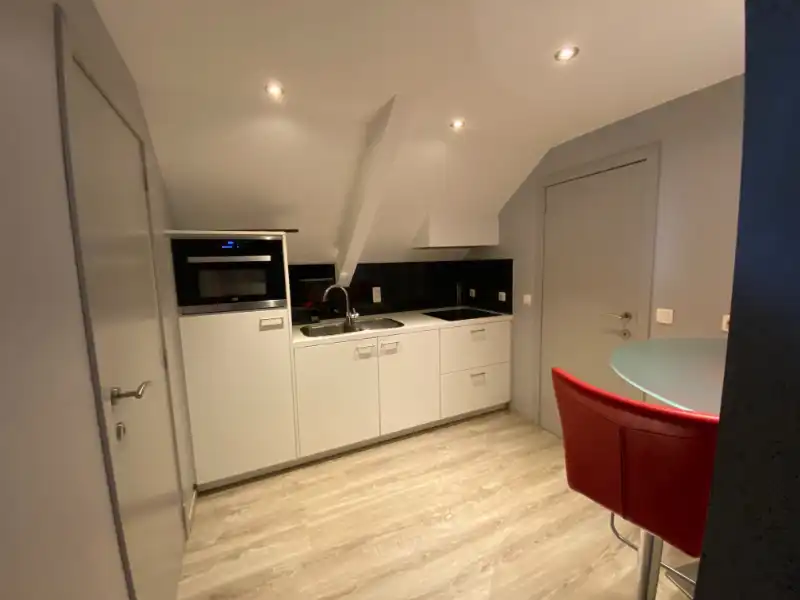 Ruime bemeubelde studio met autostaanplaats, GEEN DOMICILIE MOGELIJK foto 7