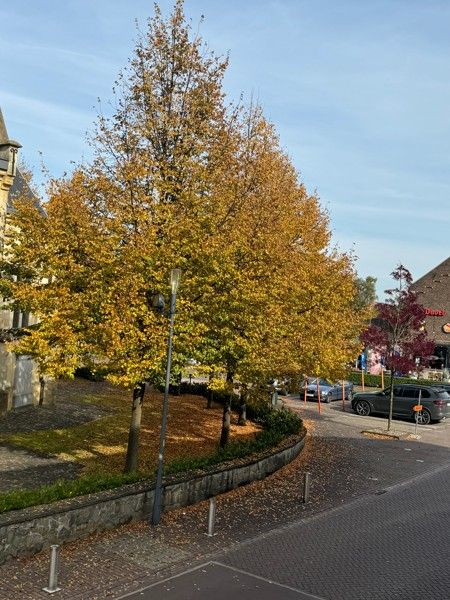 Appartement met 2 slaapkamers en zuid gericht   terras. foto 41