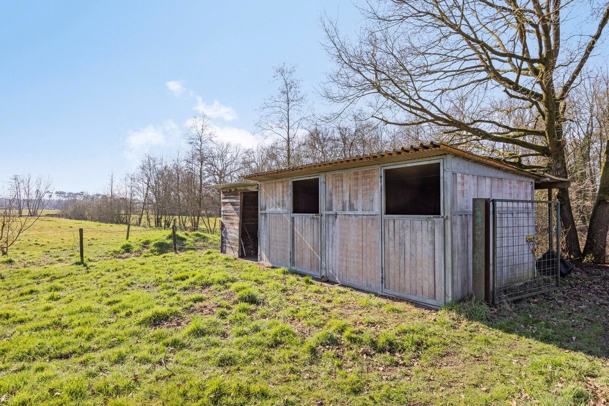 Goed onderhouden ruim ingedeelde woning op 11.725 m². foto 35