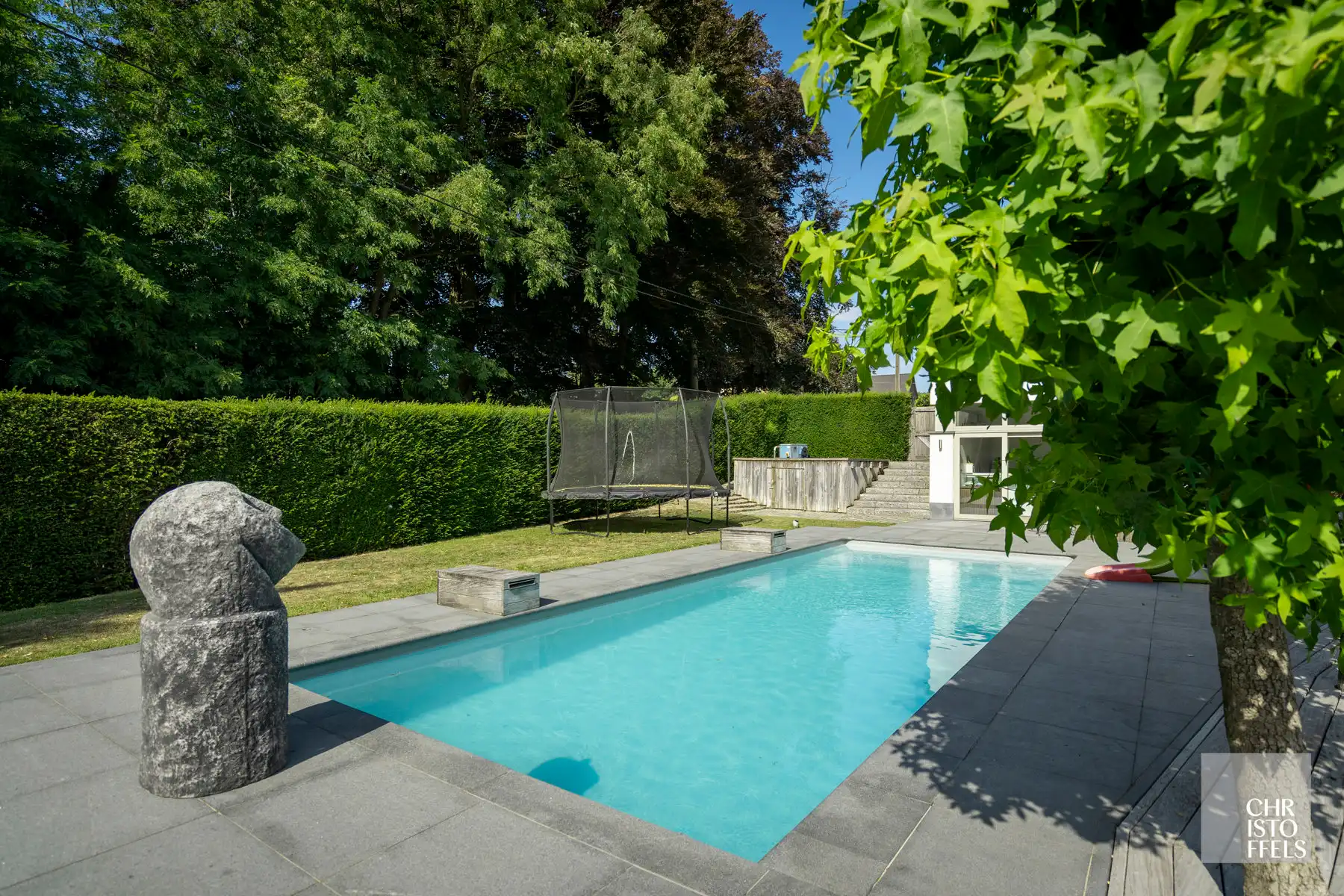 IN OPTIE - Totaal gerenoveerde villa (362 m²) met poolhouse (239 m²) in Opoeteren foto 3