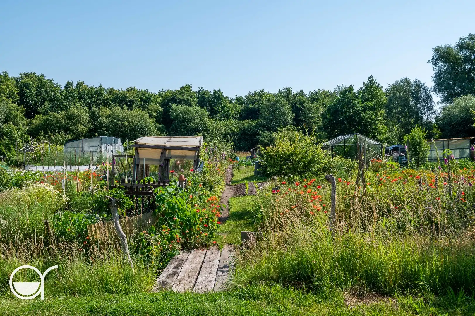 Landbouwgrond met 24 volkstuinen foto 6