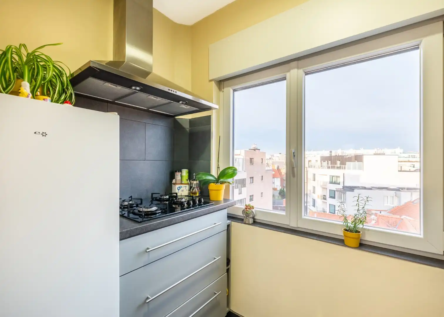 Porto Rico - 04.03 foto 5