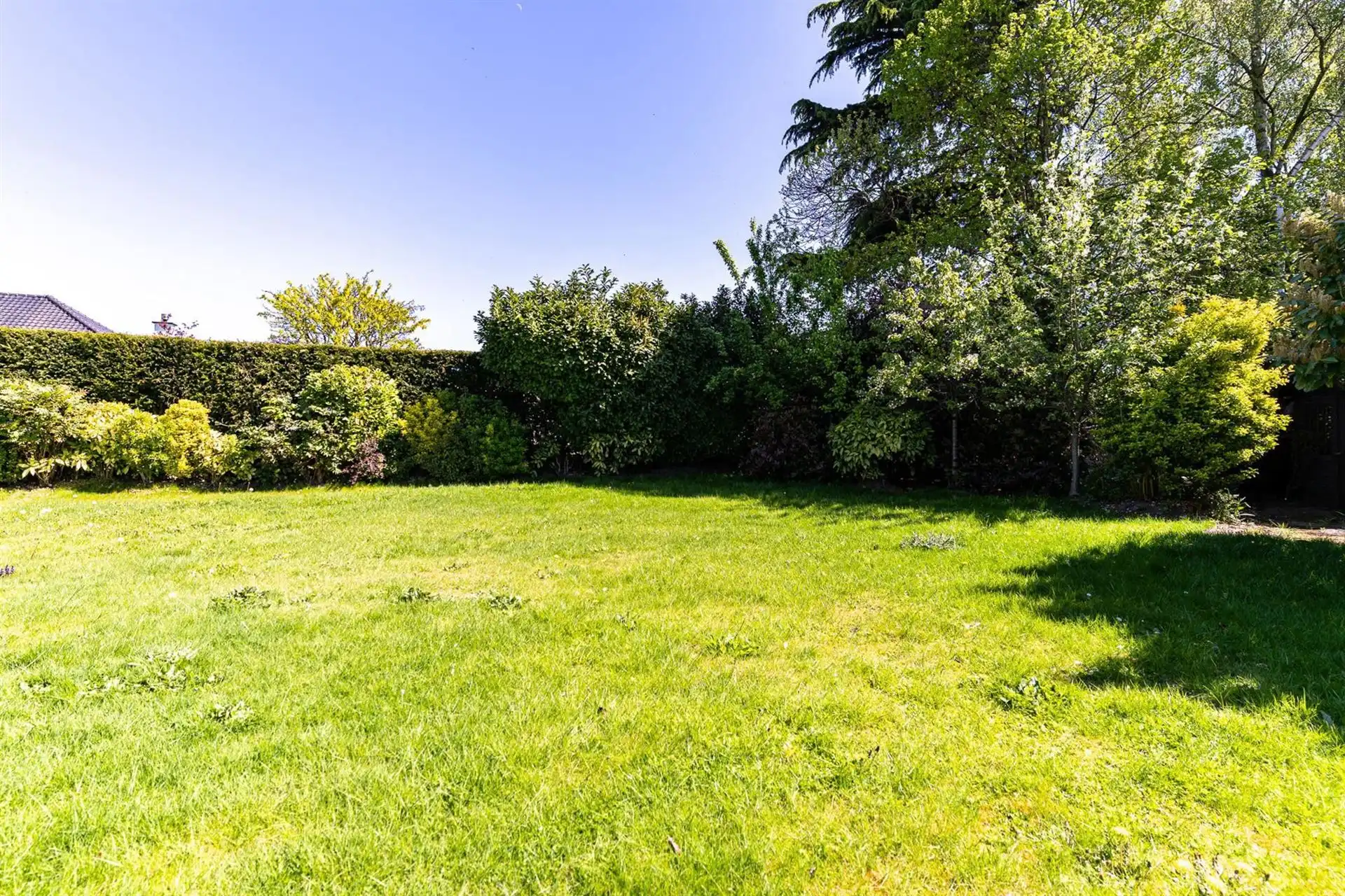 276 m² wooncomfort op 1.025 m² in hartje Melsele foto 2