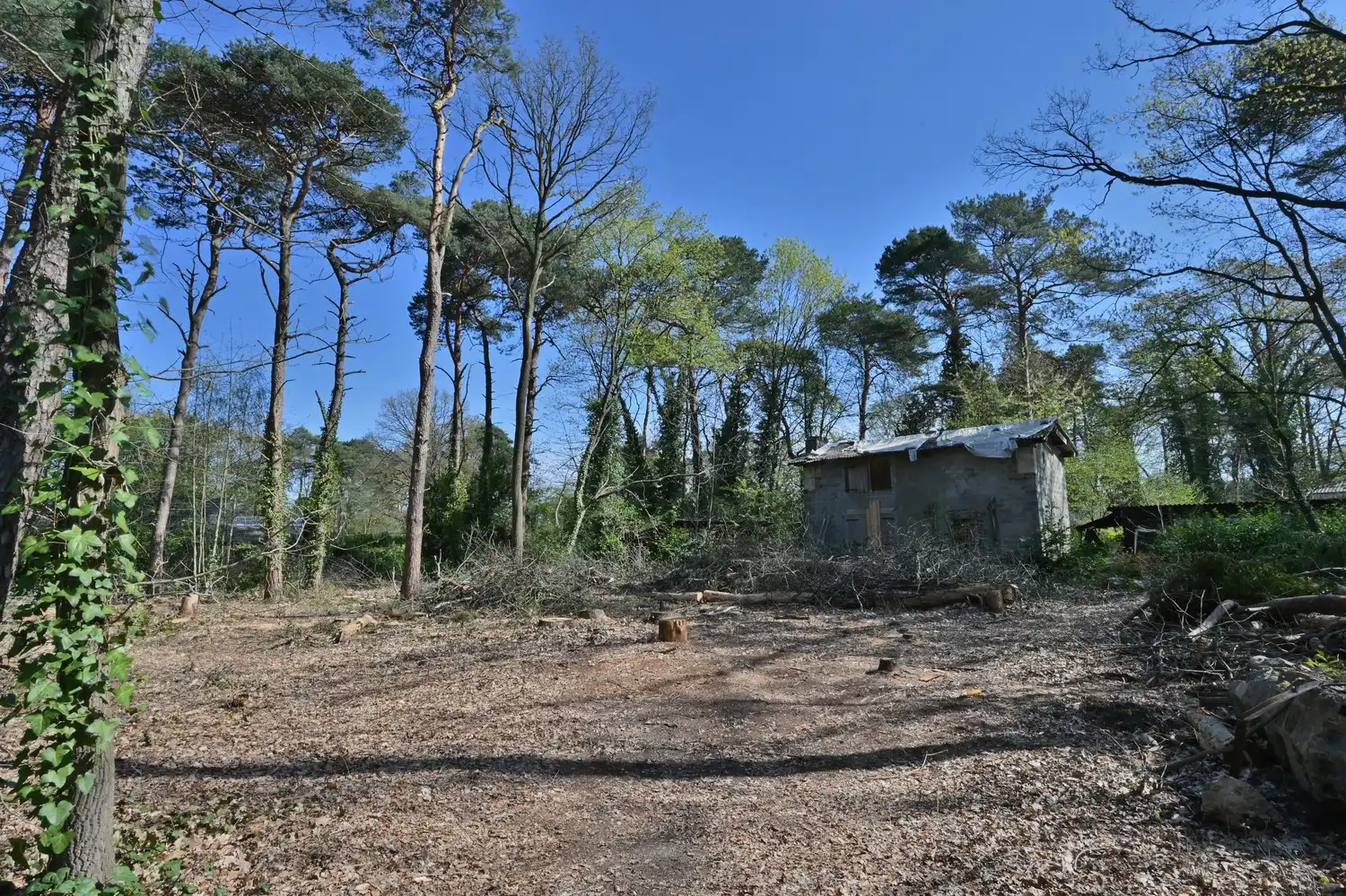 Bouwgrond (vrijstaande bebouwing) exclusief gelegen in bosrijke villawijk te Neerharen foto 4