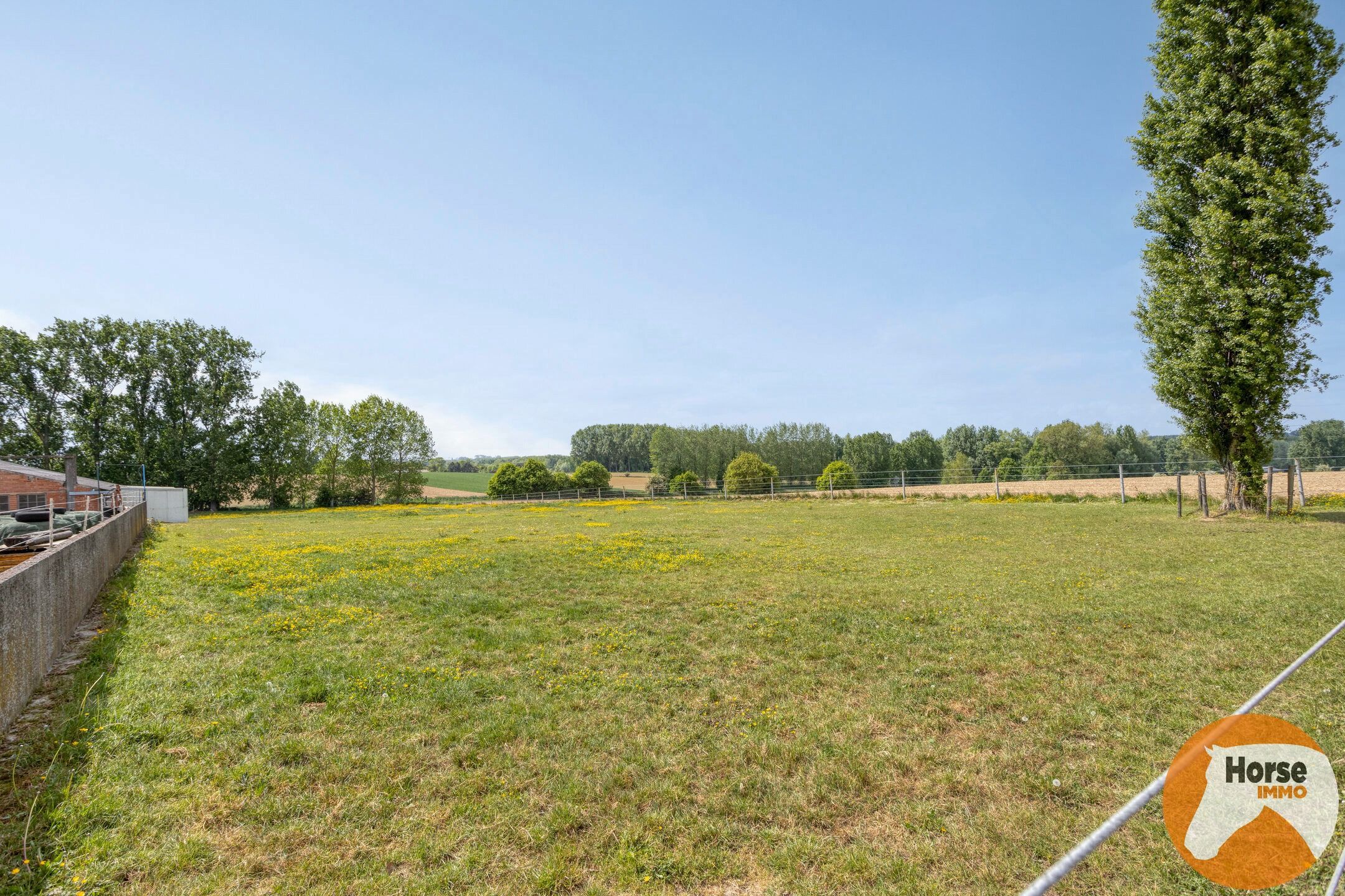 WOUBRECHTEGEM - Charmante woning met 2 loodsen op 1,61 ha  foto 30