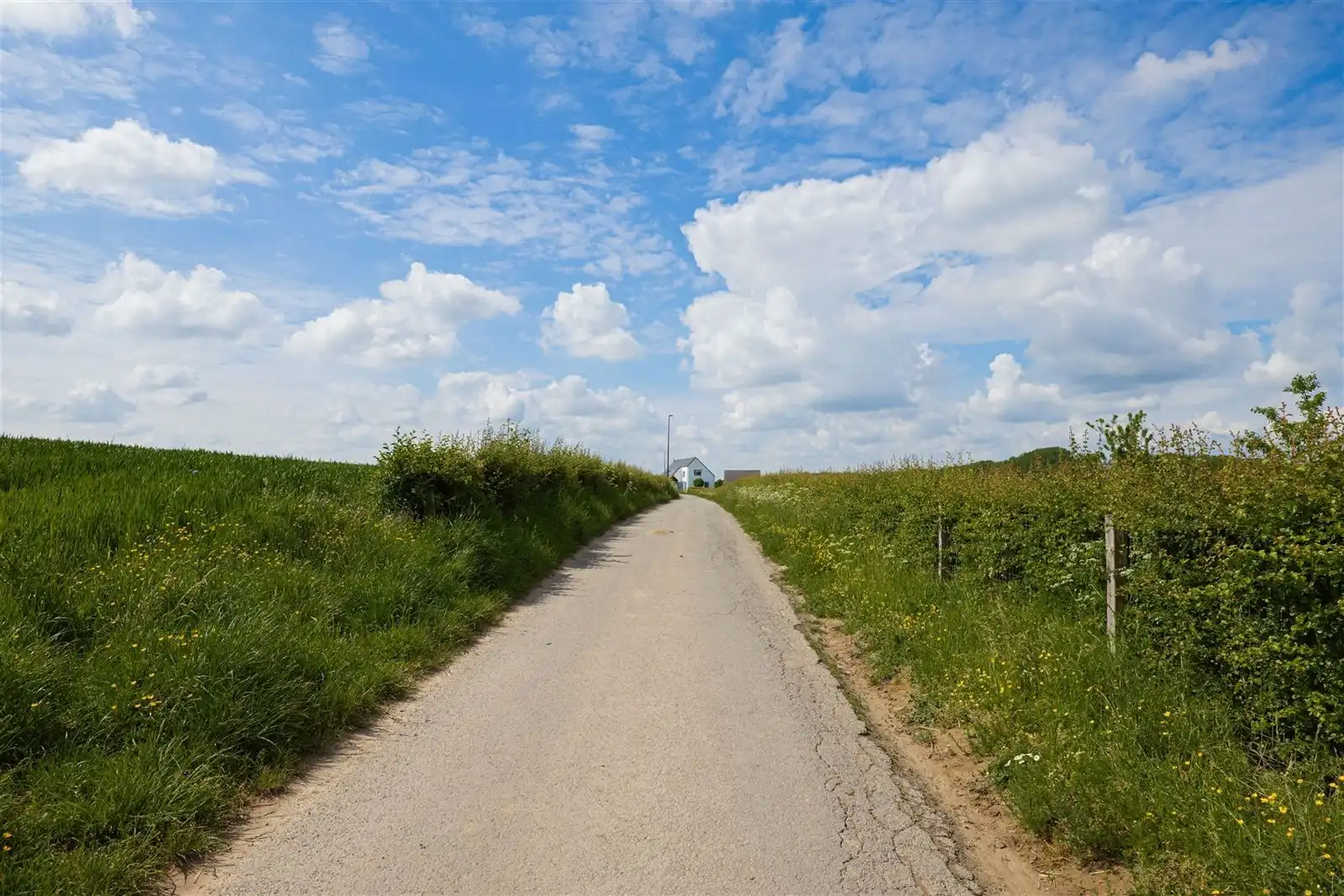 instapklare gerenoveerde gezinswoning op 9are40 foto 28