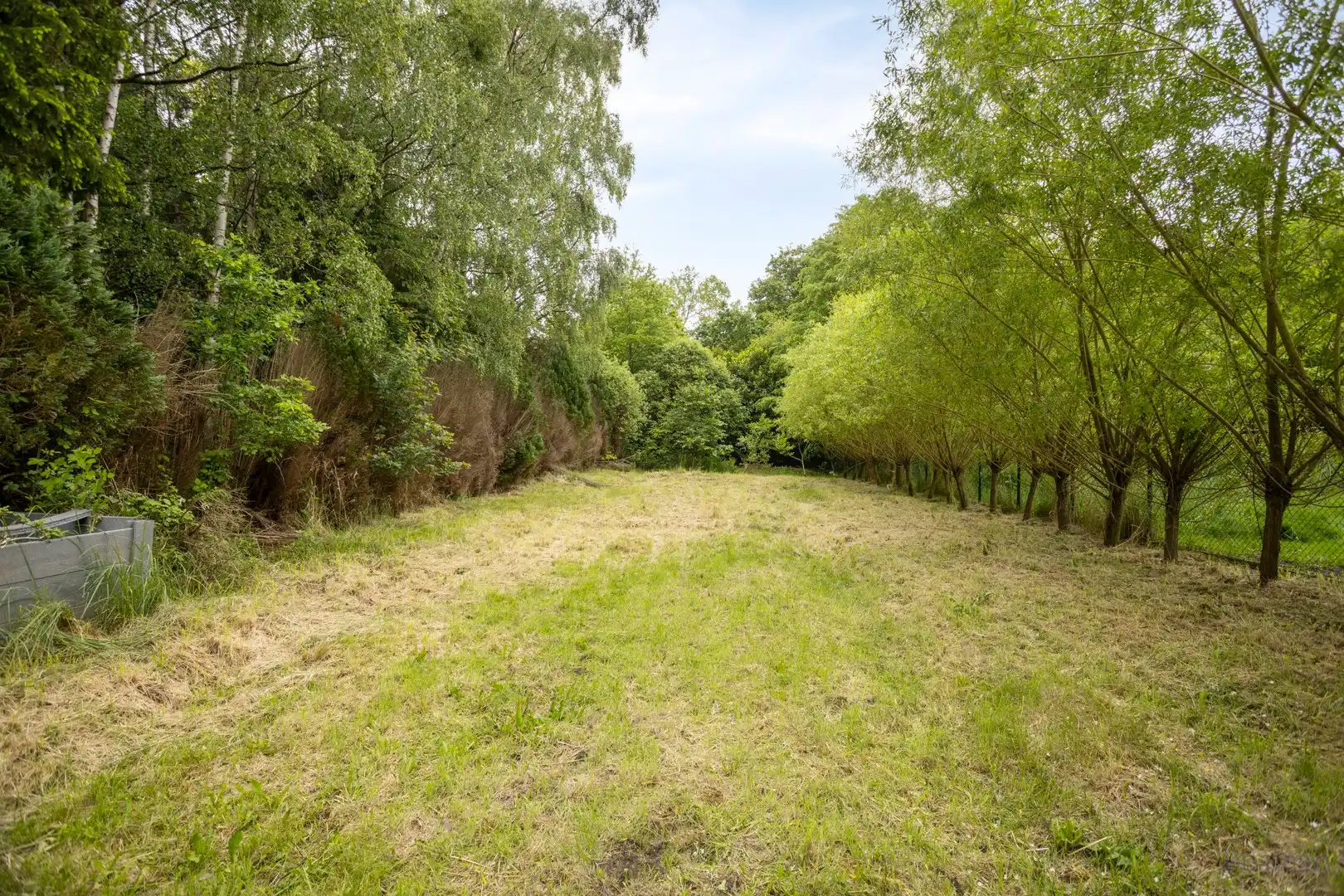 Woning te koop op perceel van 15a 44ca in Beverlo foto 24