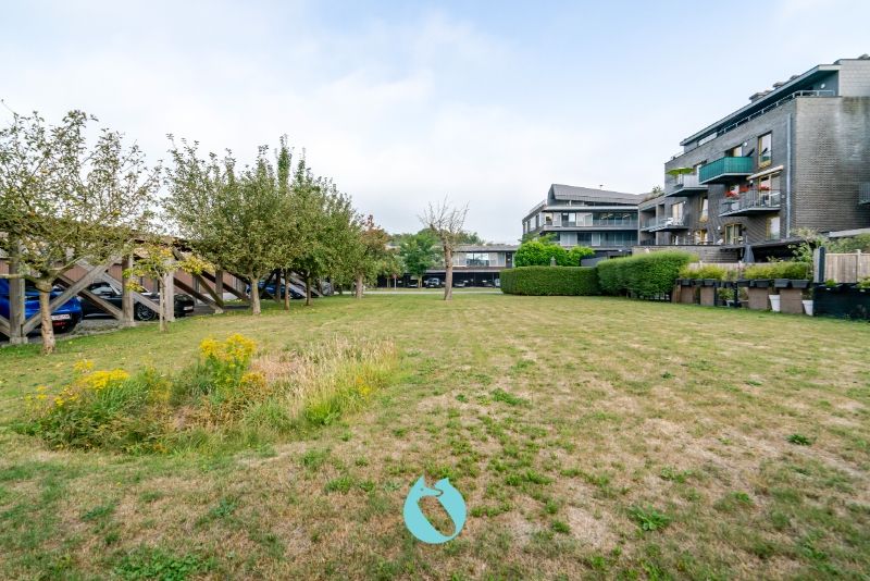 Ruim gelijkvloers 3-slaapkamer appartement te Wondelgem foto 18