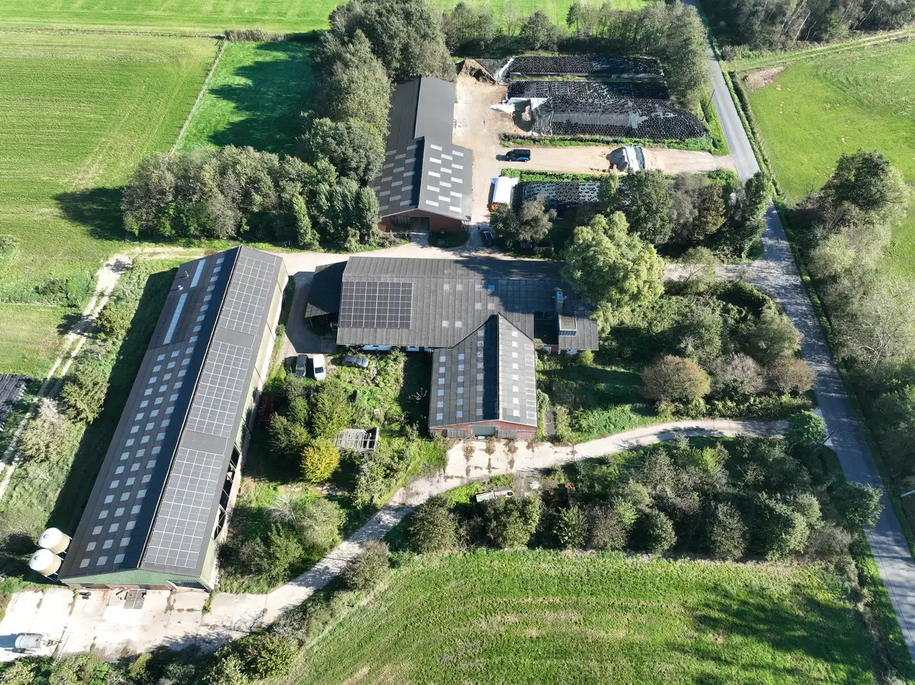 Melkveebedrijf en optionele landbouwgrond in Geel foto 4