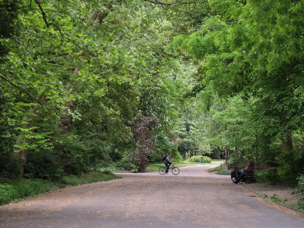 Magnifiek wonen tussen de kruien van de bomen foto 22