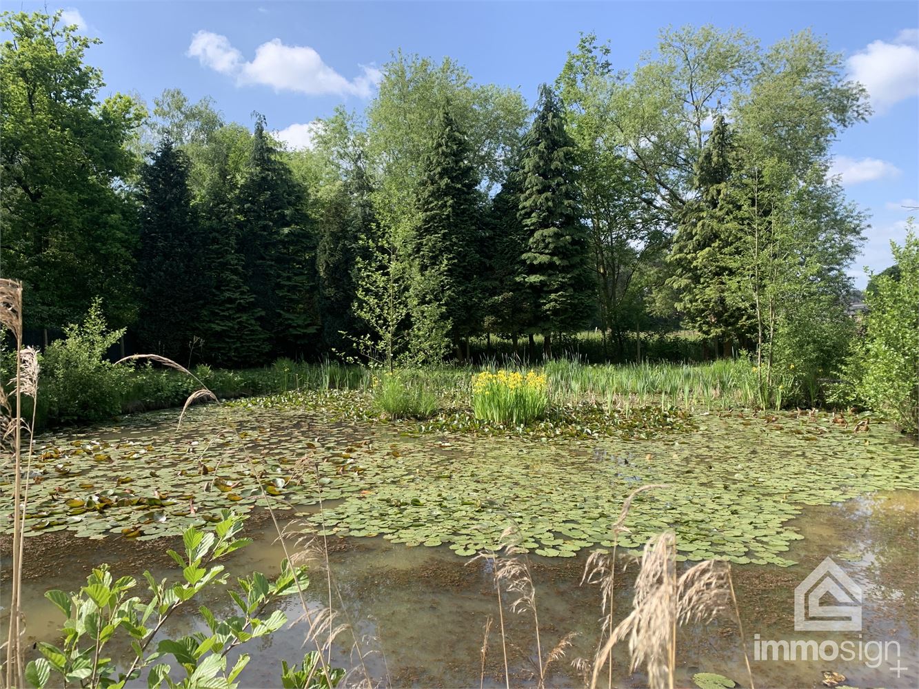 Idyllische parel voorzien van vijver gelegen te Oudsbergen foto 12