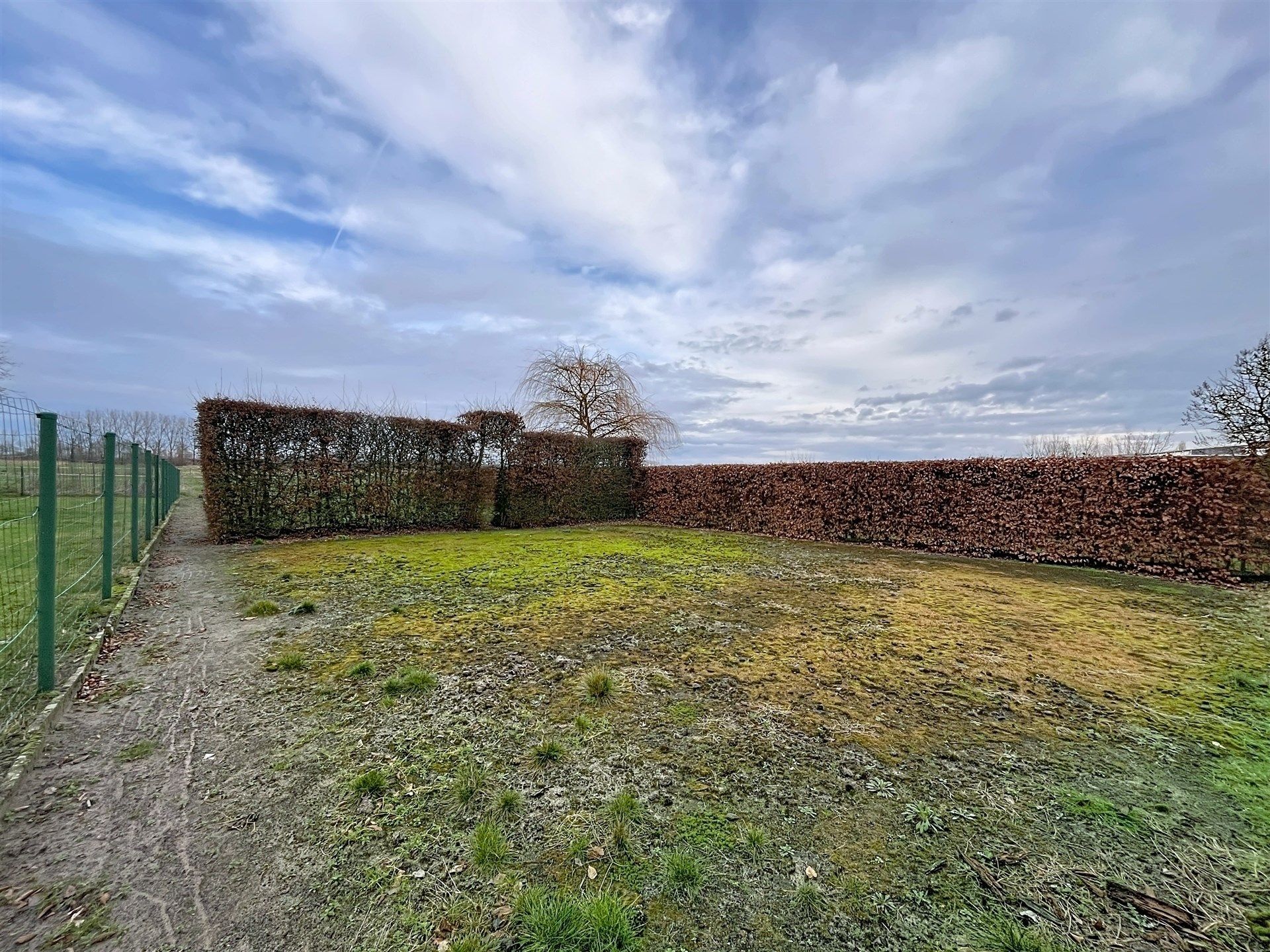 Ruime woning met 3 slaapkamers en grote garage op perceel van 1148 m² met zicht op oneindig groen.  foto 16
