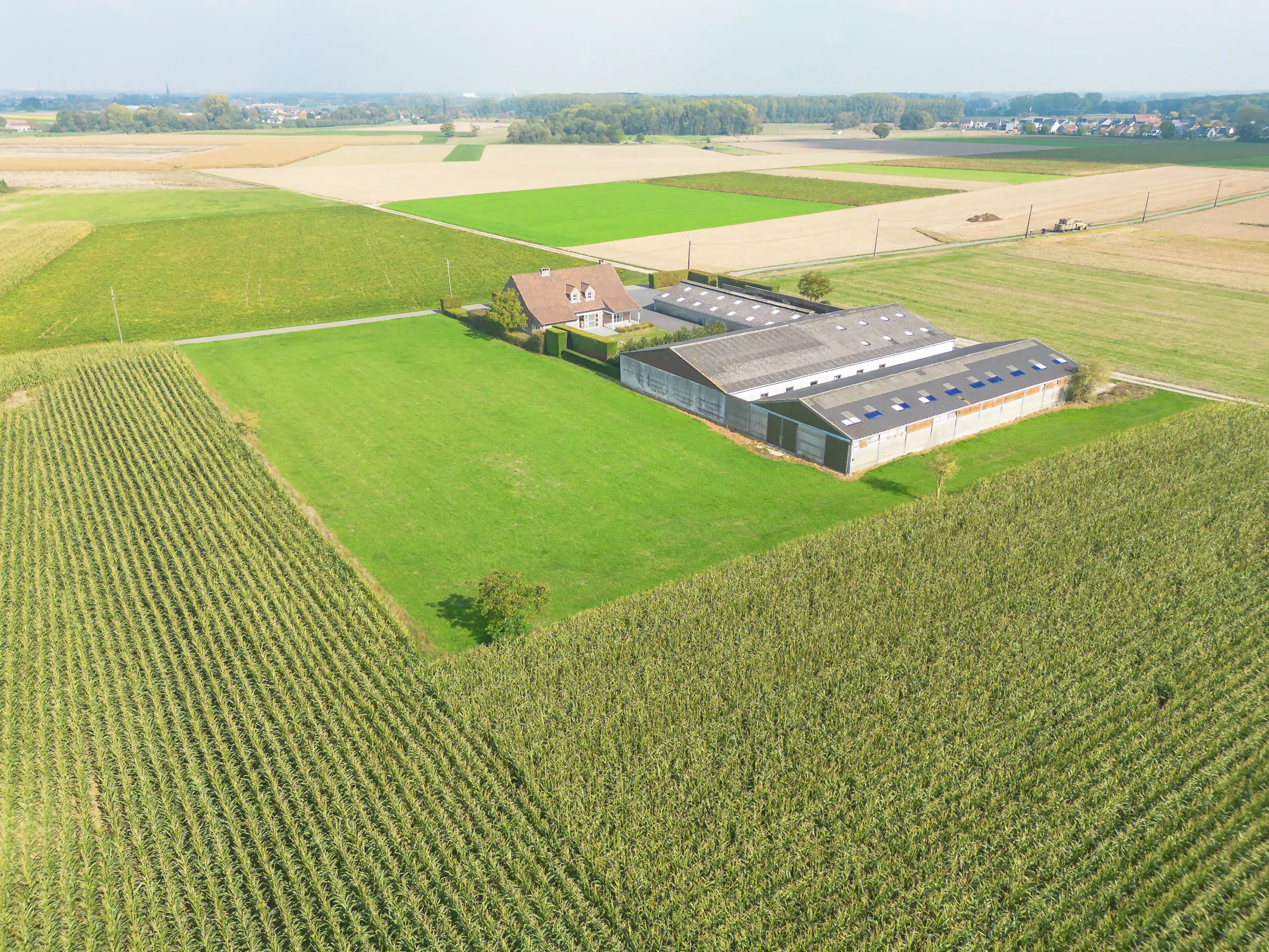 Tijdloze landbouwwoning met drie loodsen foto 23