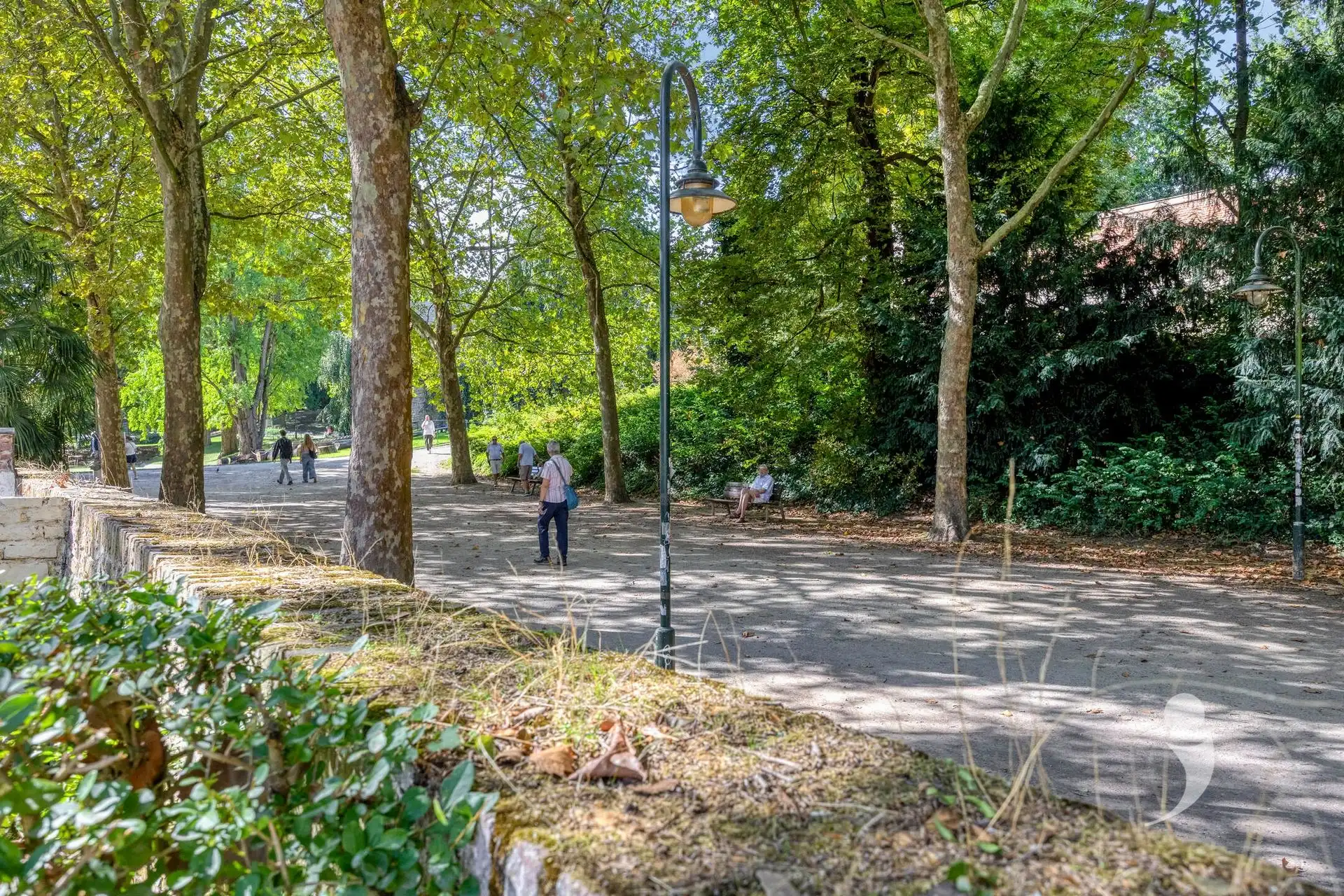 Gerenoveerde studentekamer met uniek zicht op het stadspark foto 12