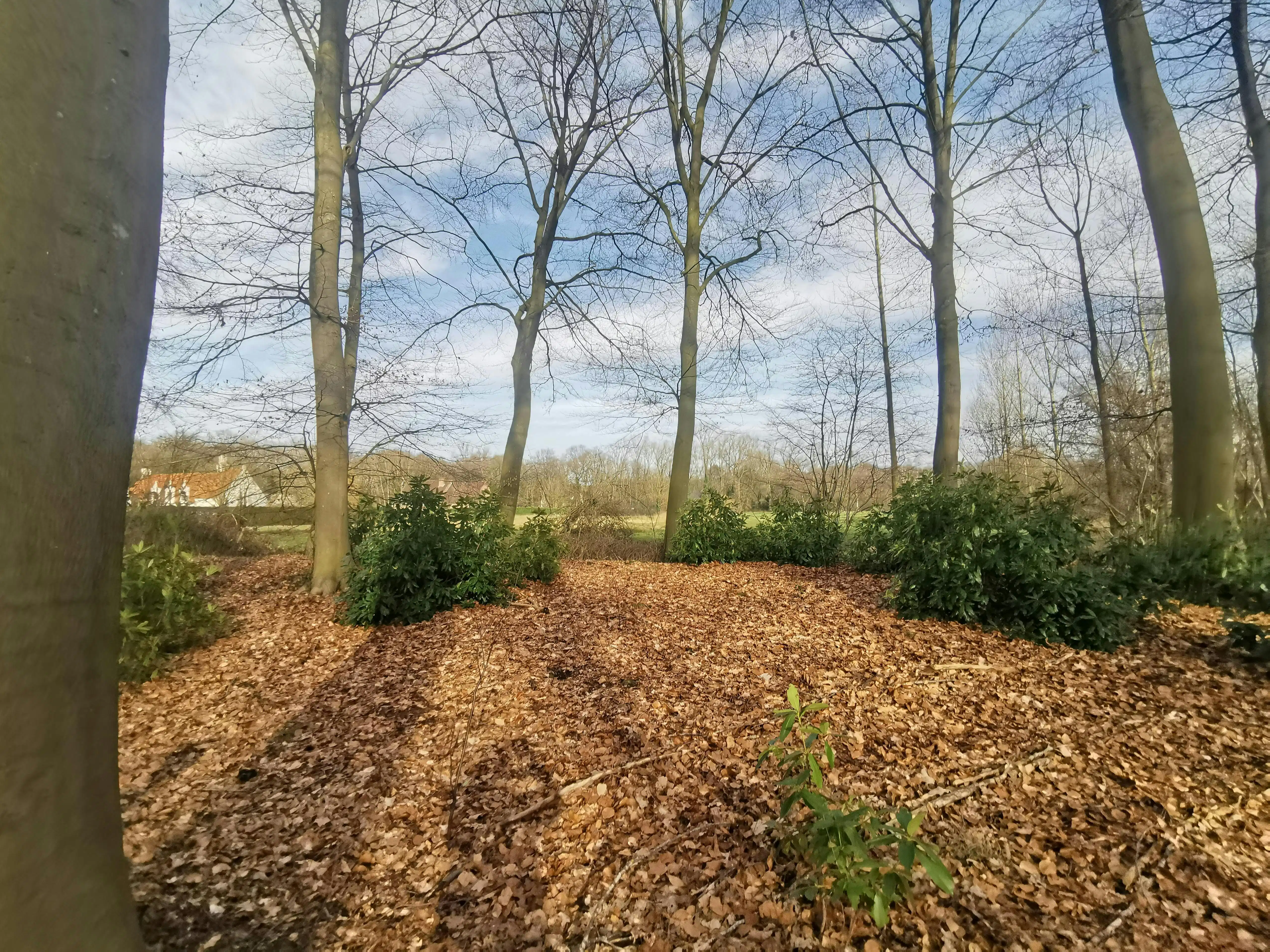 Nieuwbouwvilla te koop met 4 slaapkamers in Sint-Michiels  foto 3
