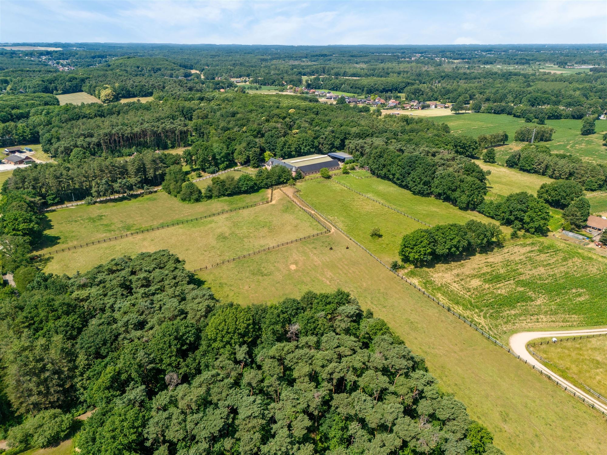 UNIEKE EIGENDOM MET 24 PAARDENSTALLEN EN BINNENPISTE OP CA 10 HECTARE TE PAAL-BERINGEN foto {{pictureIndex}}