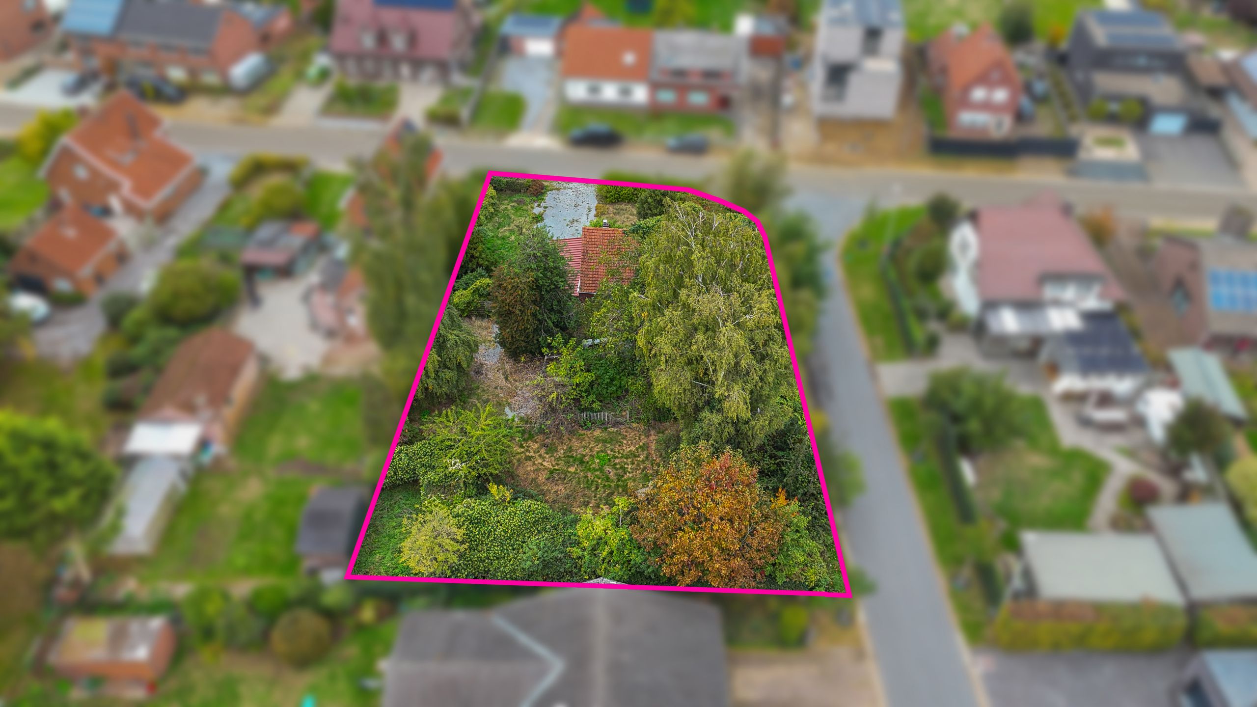 Projectgrond in rustige ligging in Koersel! foto 4