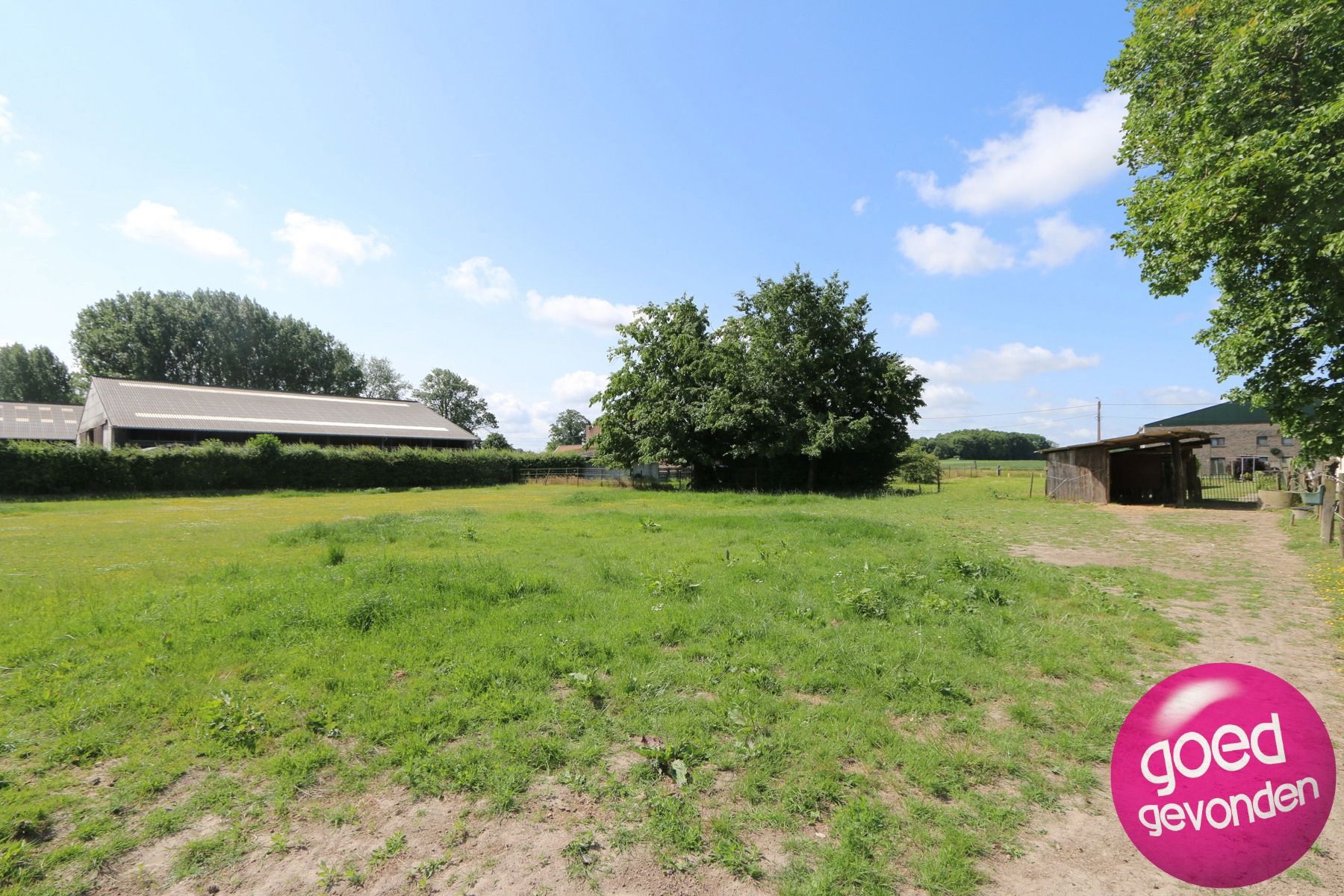 HOEVE met WONING 4 SLK - TUIN - TERRAS - WEI - SCHUREN  foto 23