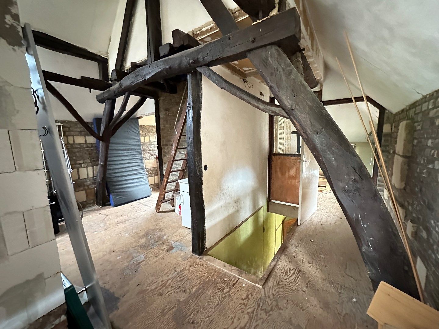 Unieke woning met enorm potentieel op perceel van 96 Are foto 33