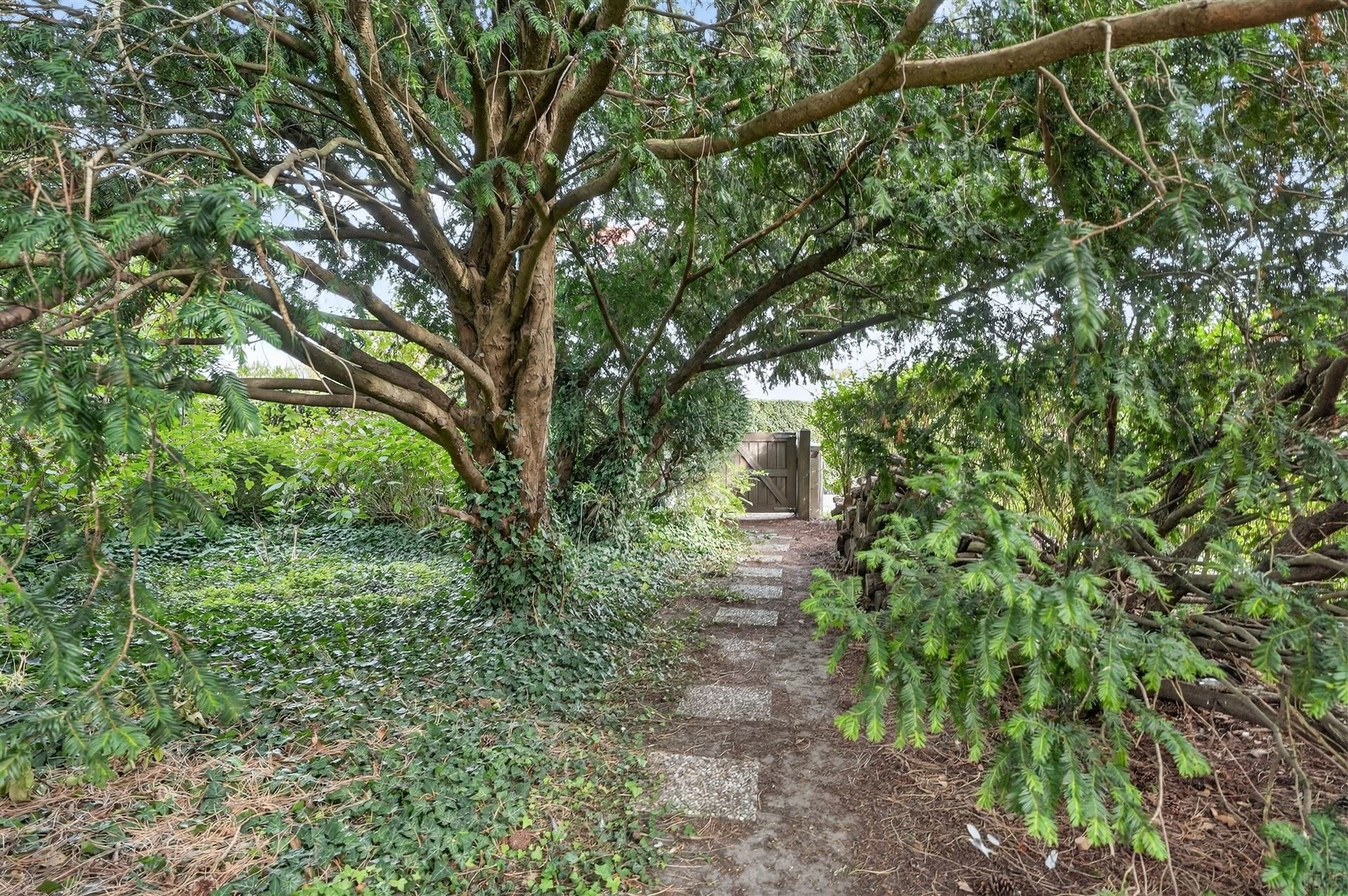 EXCLUSIEF / GROENE OASE  foto 54