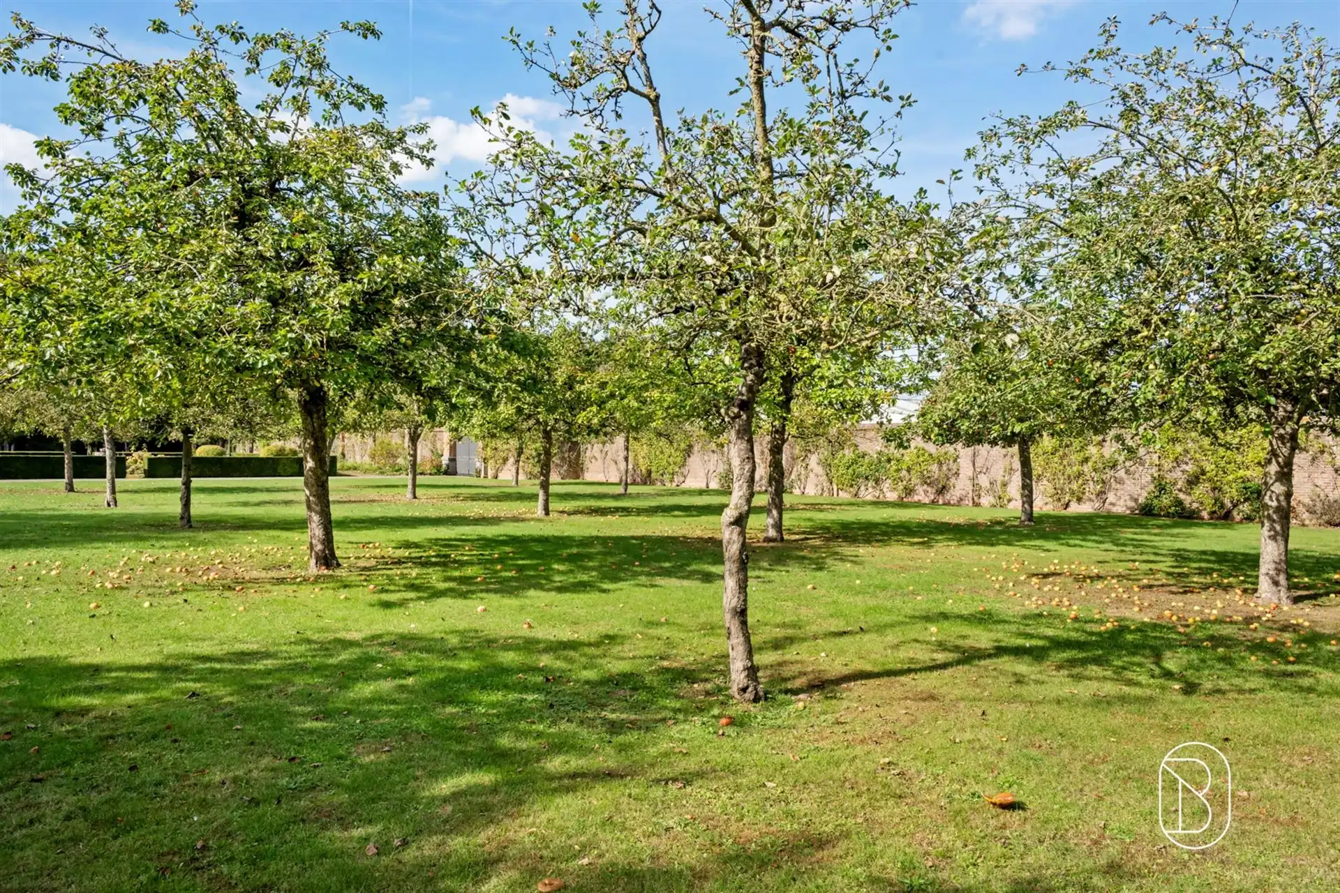Landhuis-villa in Deerlijk omgeven door groen met 4 kamers foto 9