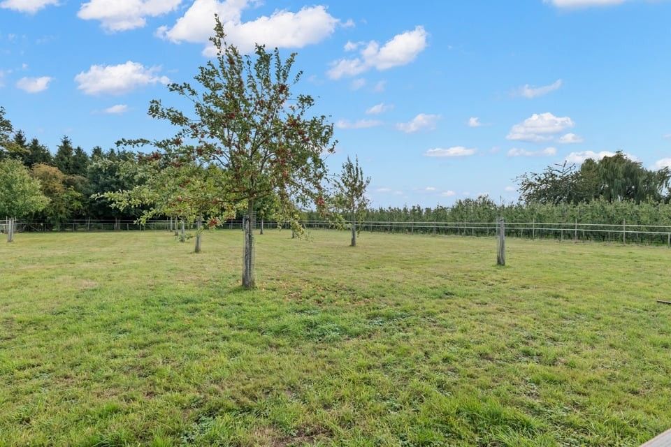PRACHTIGE OPEN BEBOUWING OP EEN PERCEEL VAN MAAR LIEFST 43A IN ZOUTLEEUW foto 9