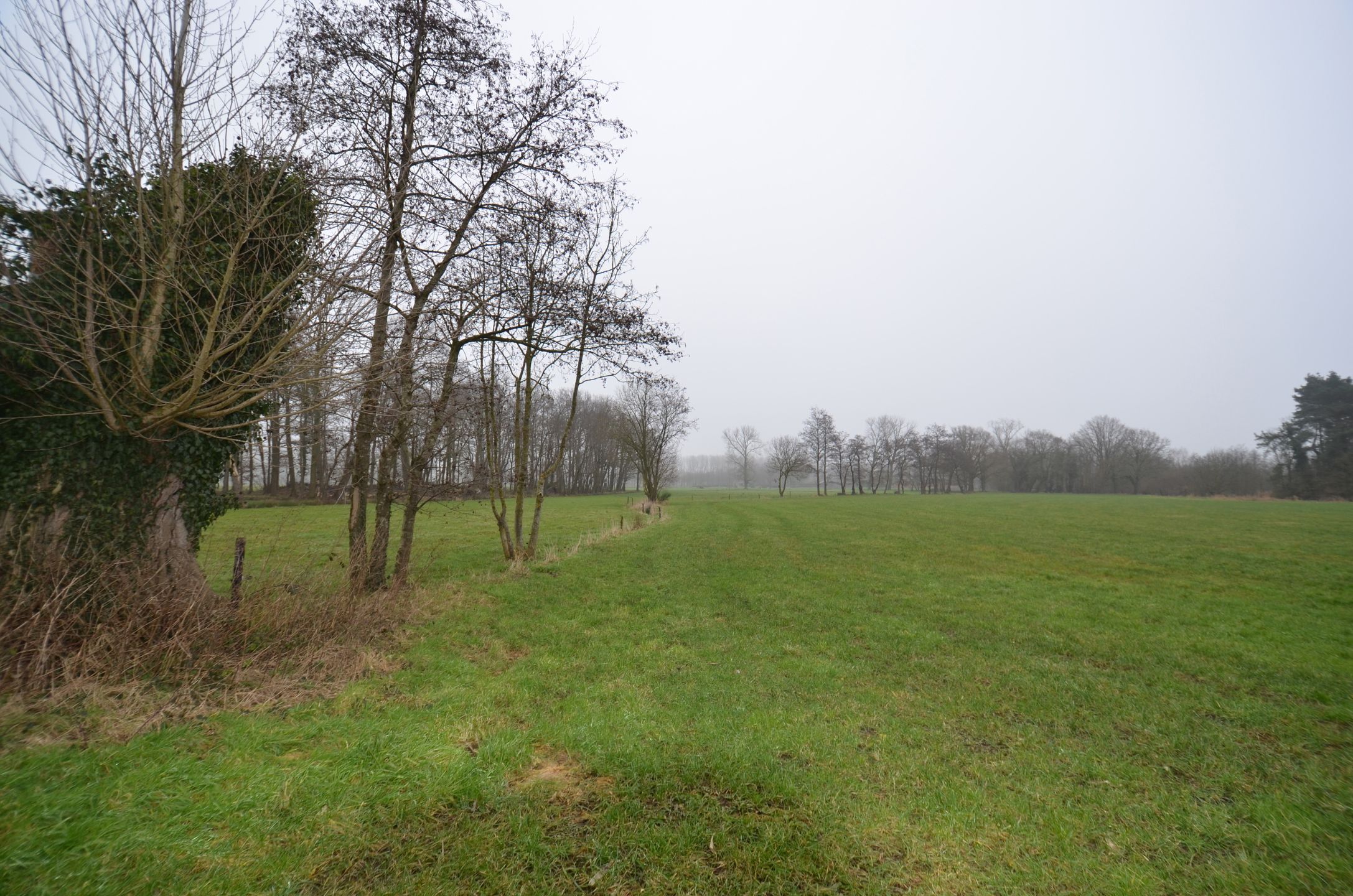 Landbouwgrond van 18.400 m² foto 5