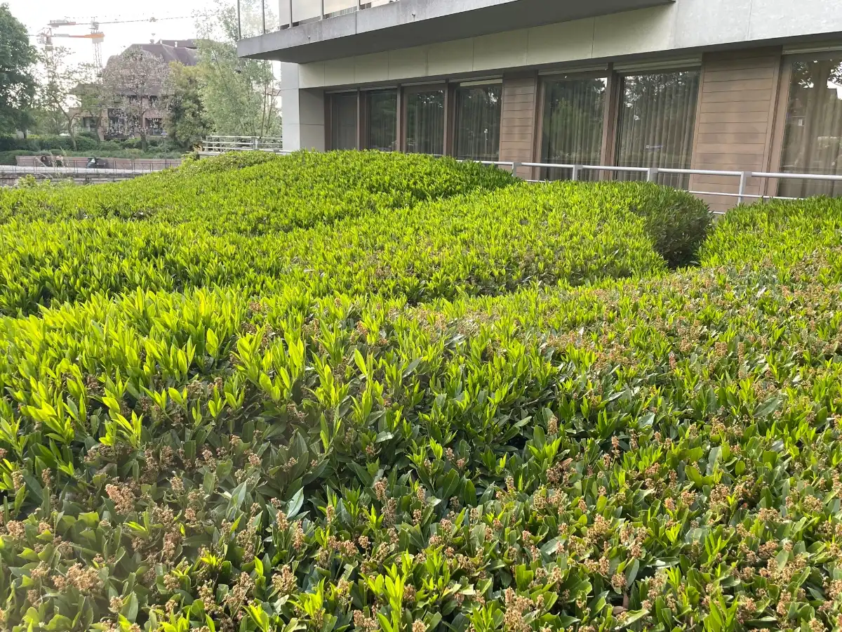 LUXE APPARTEMENT + zeer riant zongericht terras, dubbele garage & (wijn)kelder foto 61