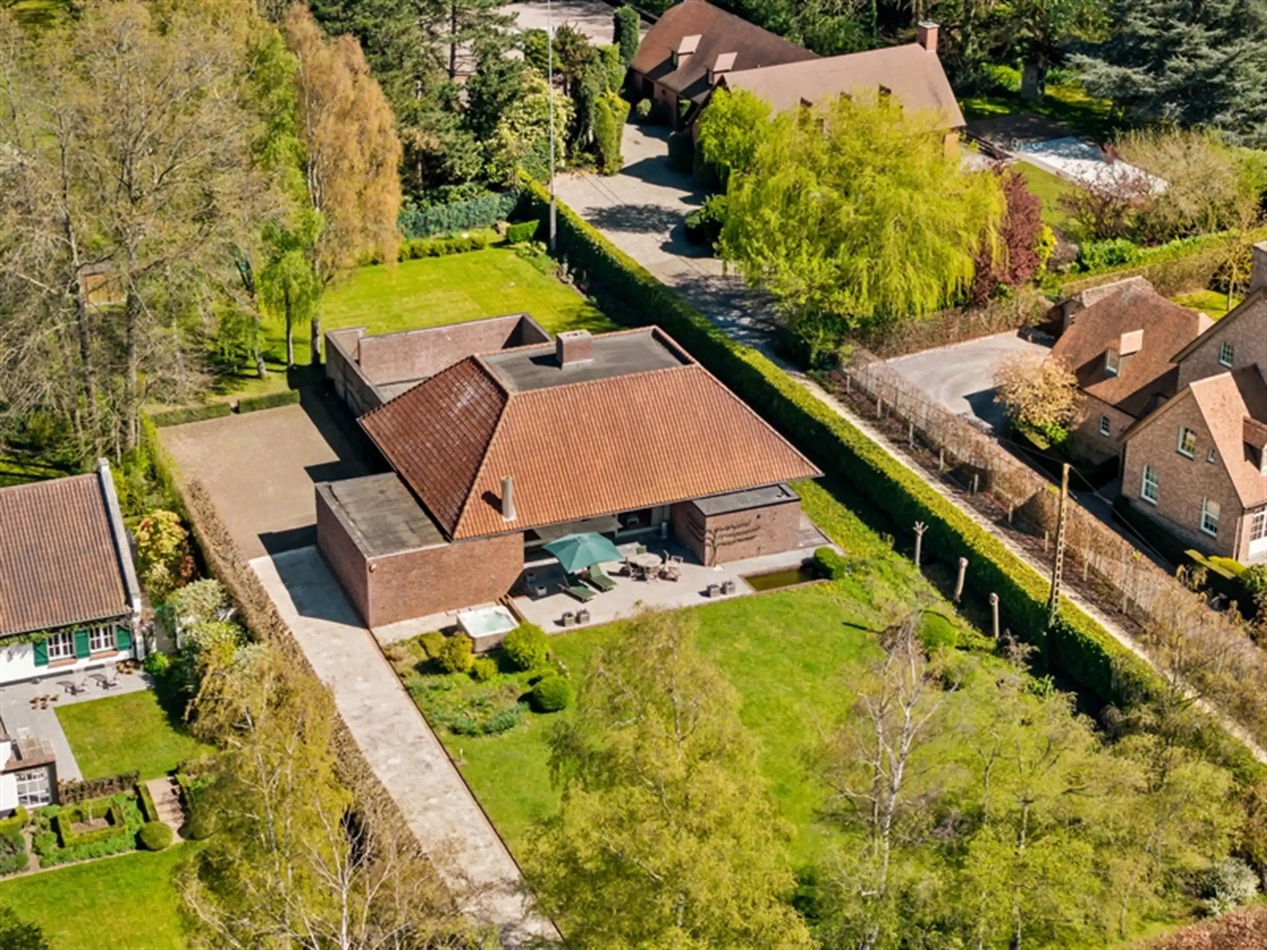 Verborgen verrassing: aan de zoom v/h bos met maximaal zicht foto 3