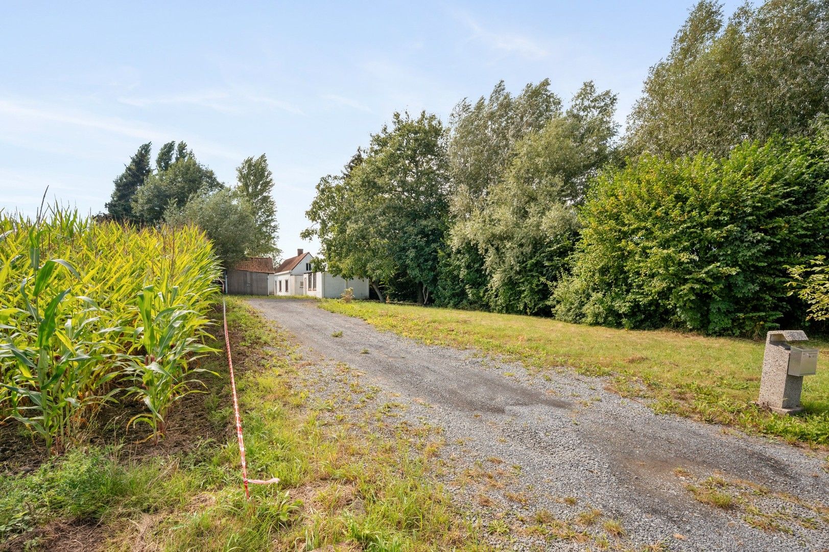 Volledig te renoveren landelijk knus woonhuis of zelf te bouwen woning op deze prachtige locatie in Ingooigem foto 8