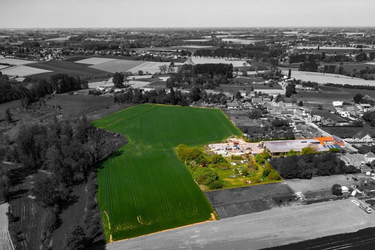 Hoeve met ruime stallen te koop te Zottegem op 4,68 ha foto 2
