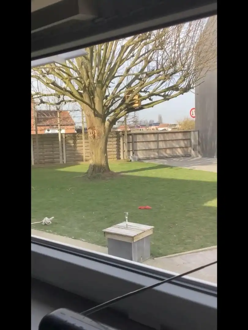 Instapklare halfopen woning met 5 slaapkamers, dubbele garage en zonnige tuin in Komen-Waasten. foto 30