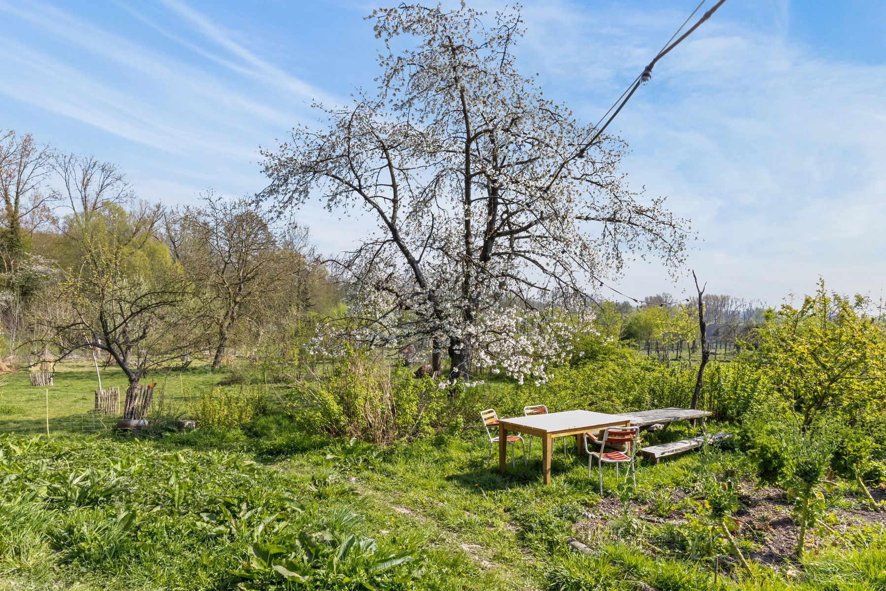 Wonen in een architecturaal sprookje? Welkom in Bonte 14! foto 29
