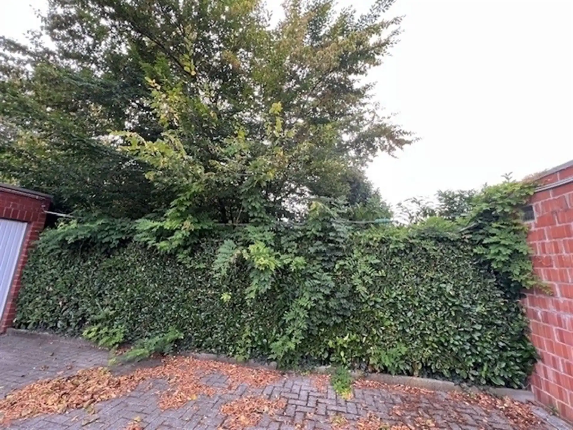 Renovatieproject foto 2