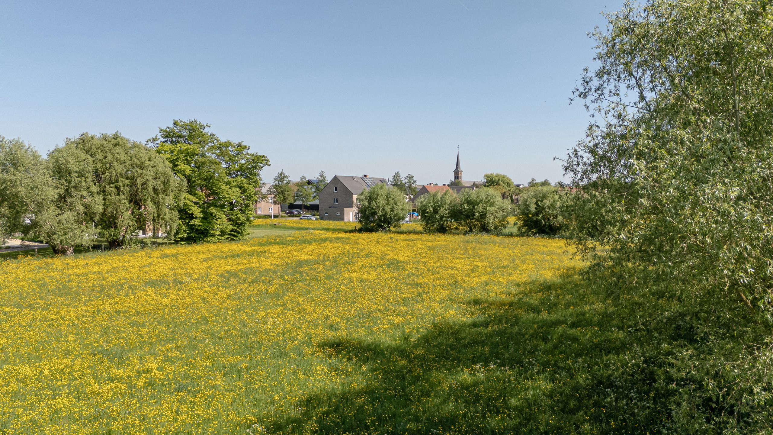 Luxueuze villa met uitgestrekte tuin in Zemst foto 36
