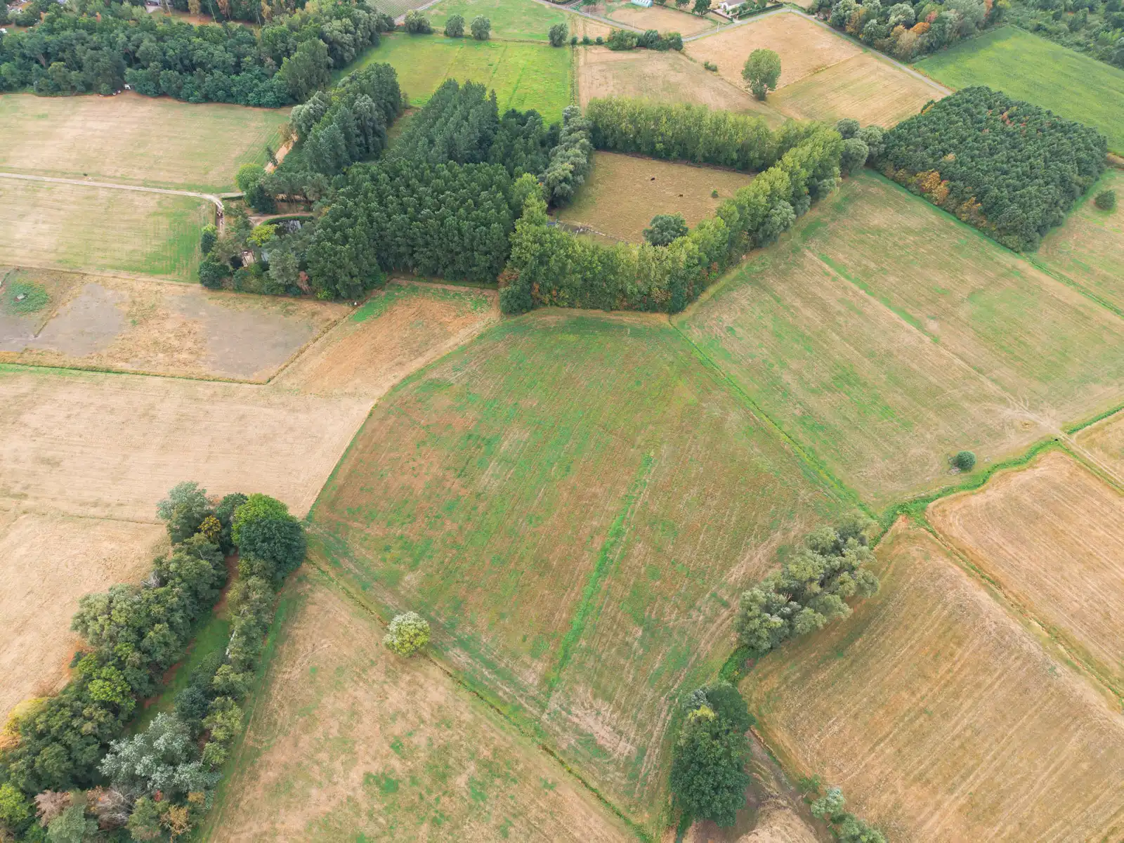 Uitzonderlijk perceel hooiland in agrarisch gebied foto 3