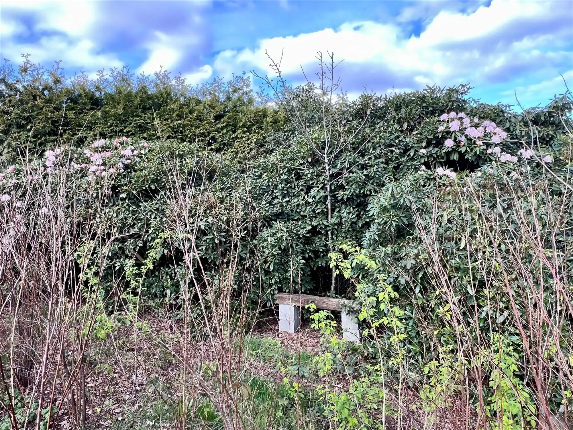 Vakantieverblijf op agrarisch en bebost perceel van 1183 m² foto 6