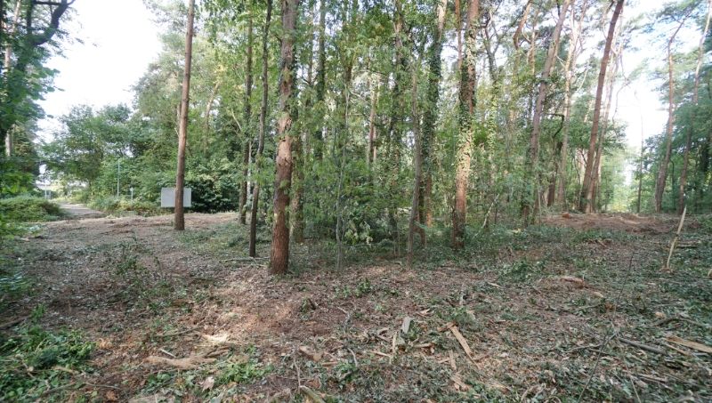 Residentieel gelegen bouwgrond van 31 are met 37 are bosgrond nabij golf- en meerdomein foto 3